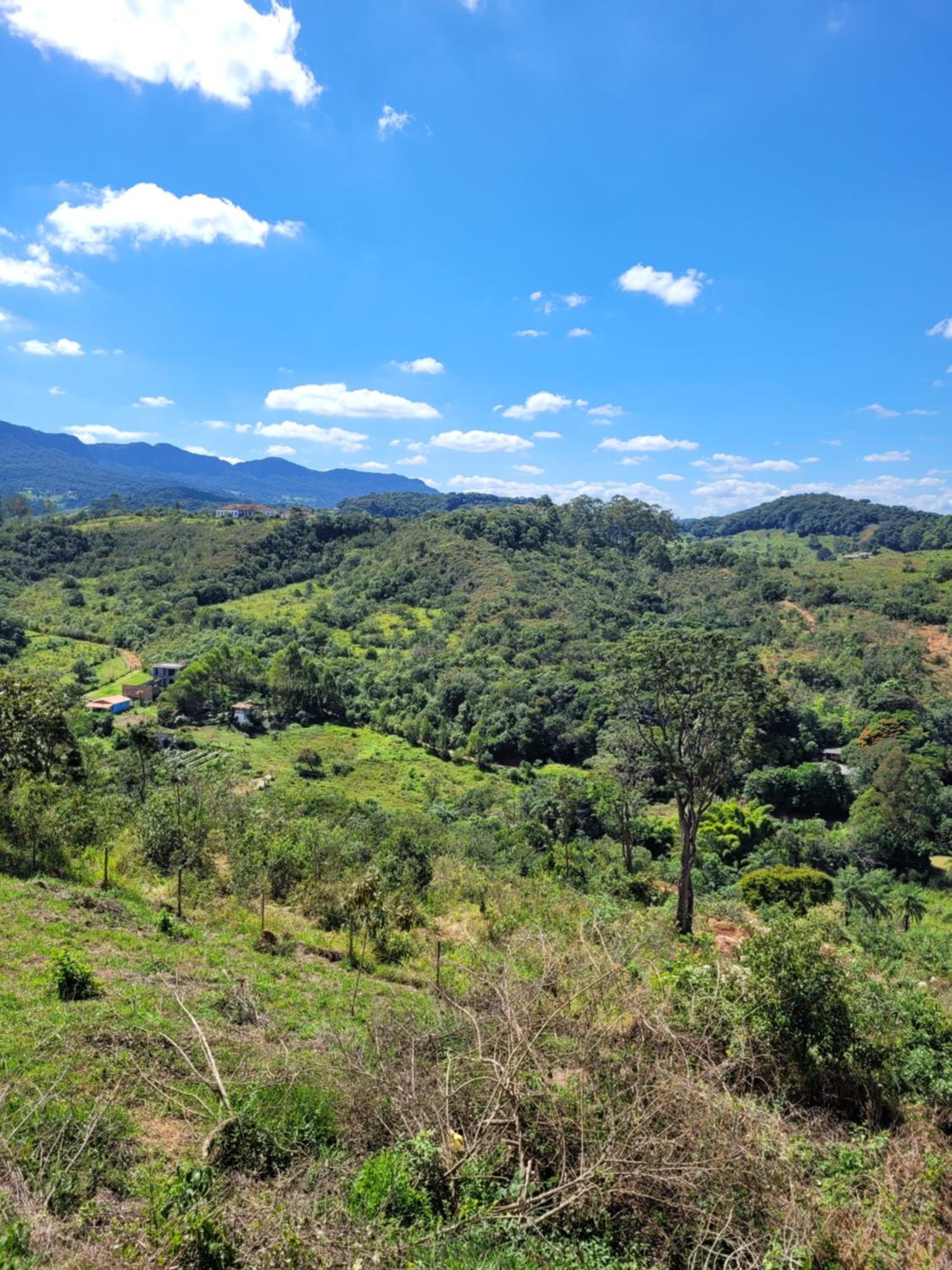 Pousada Aconchego da Cutia
