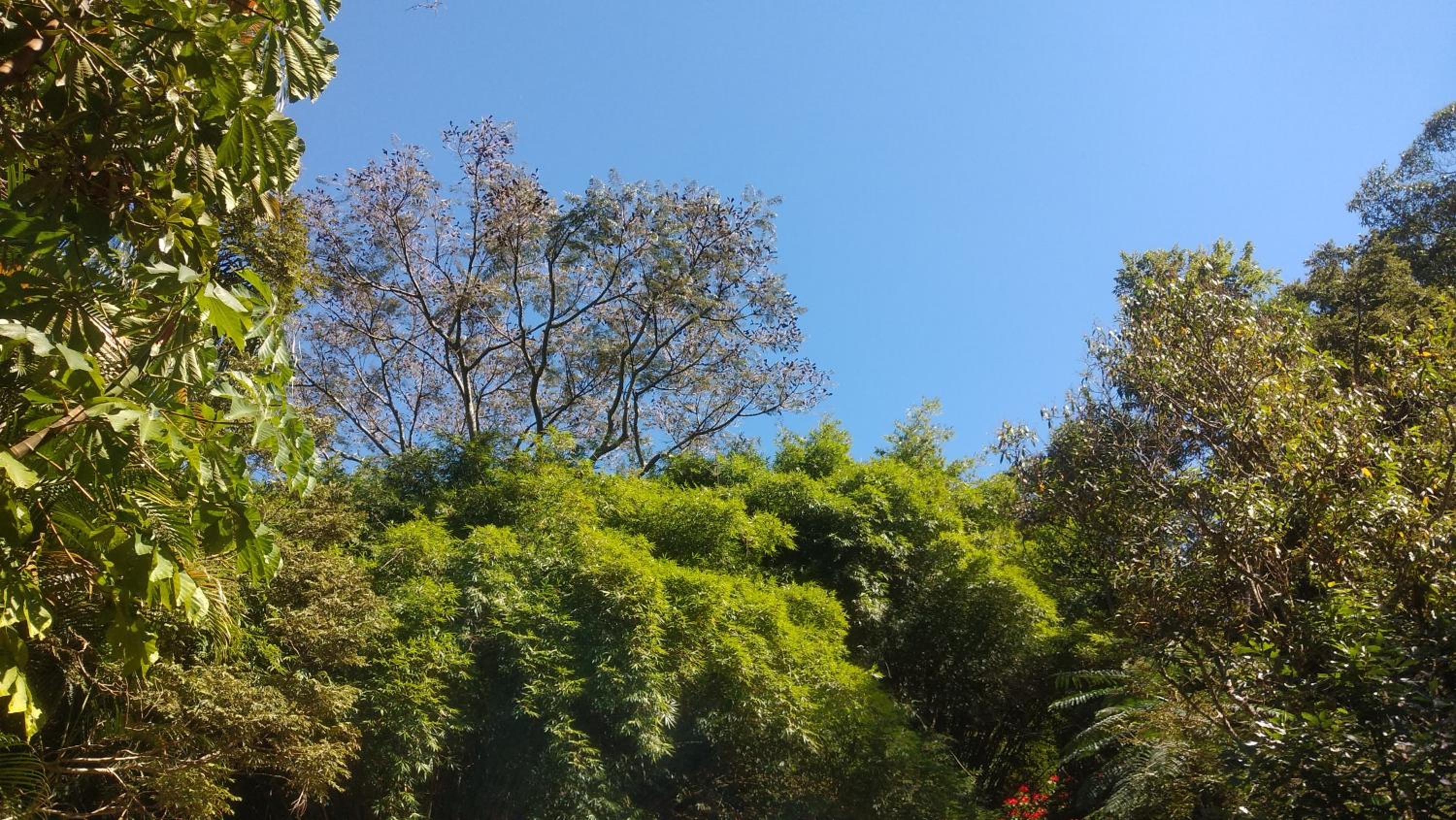 Chalé na floresta com frigobar