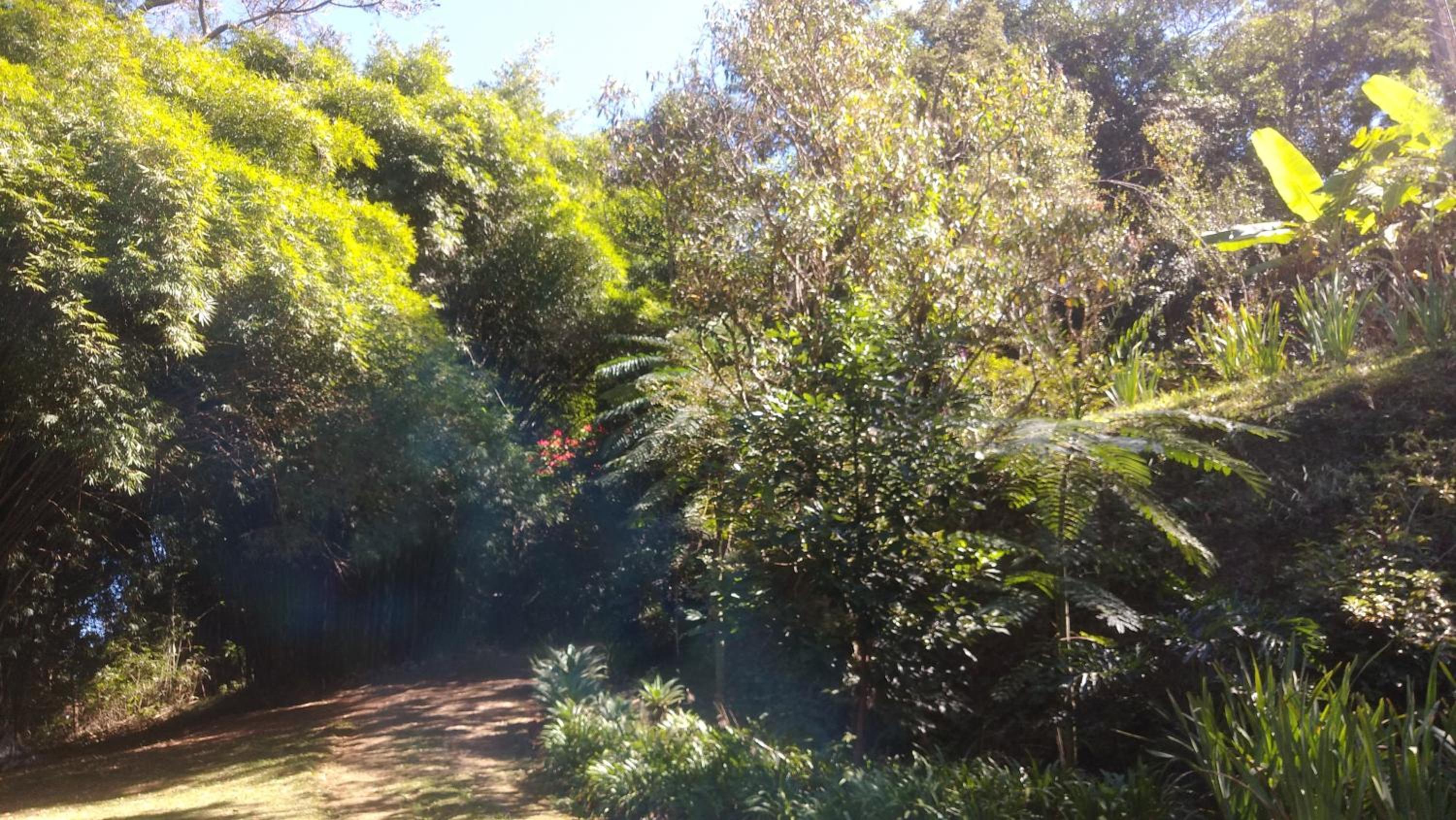 Chalé na floresta com frigobar