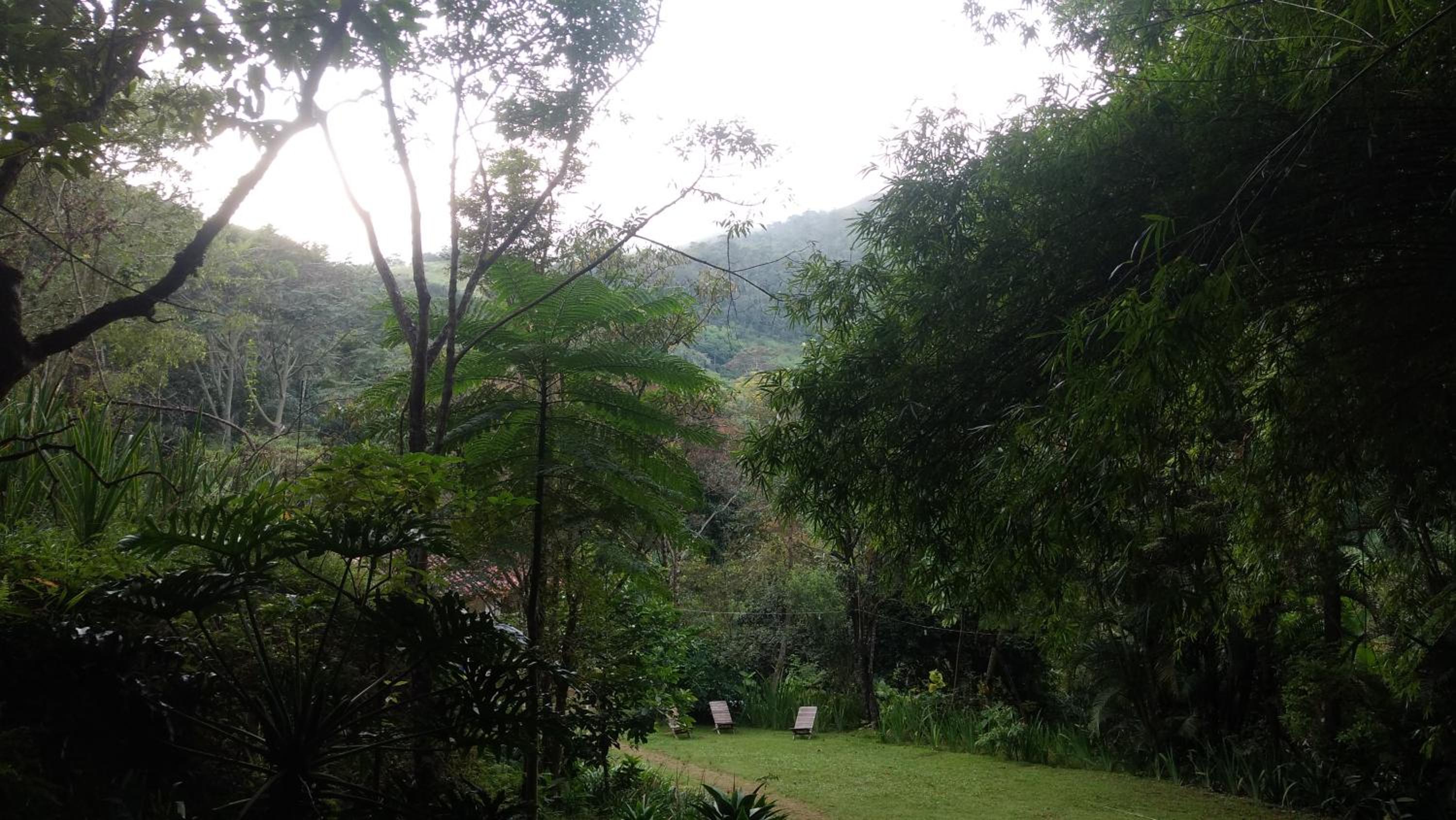 Chalé na floresta com frigobar