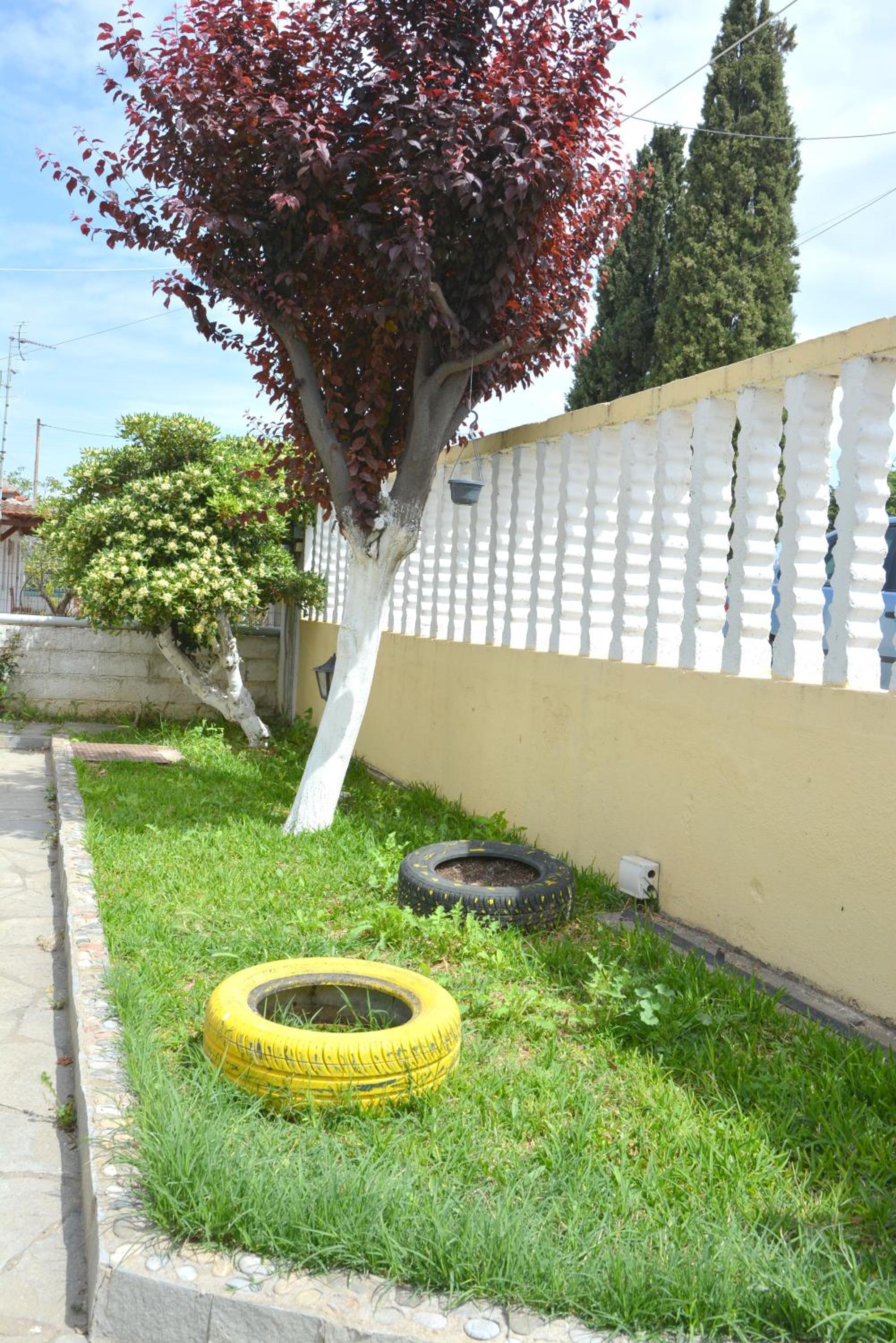Photo 33