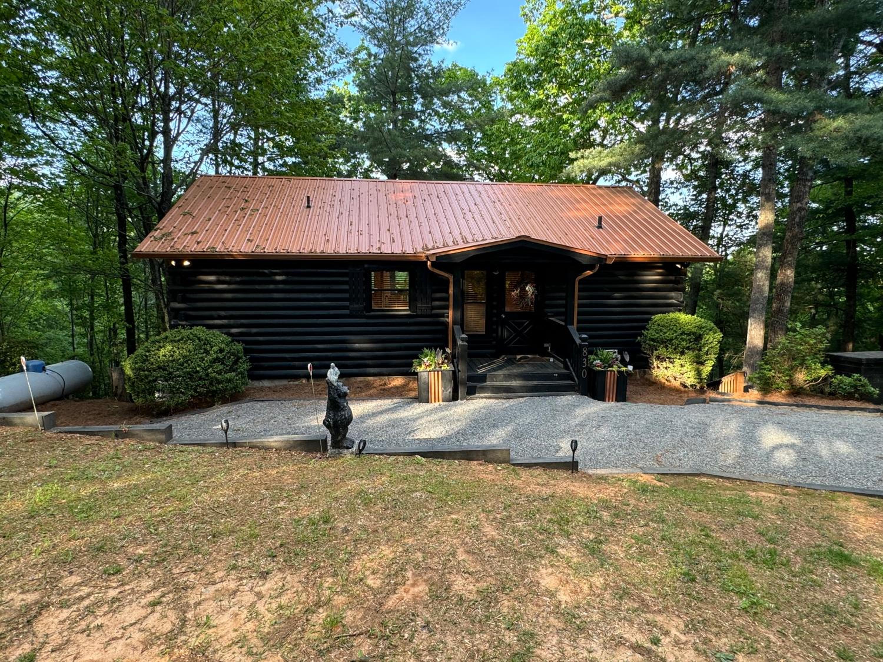 Quiet Summer Escape 2 Kings Hot Tub Private Mountain Views Pets OK view 2