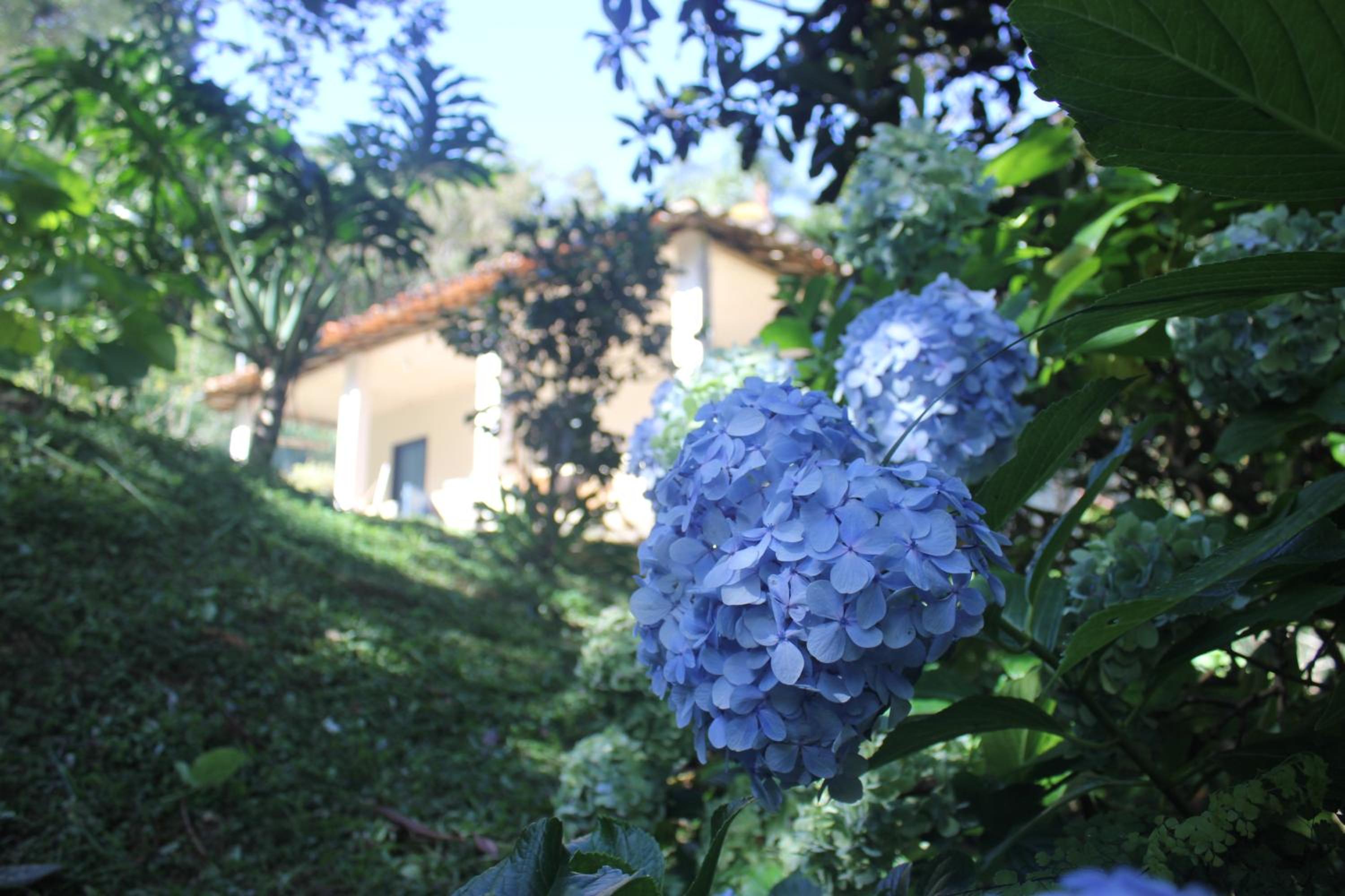 Chalé na floresta com frigobar