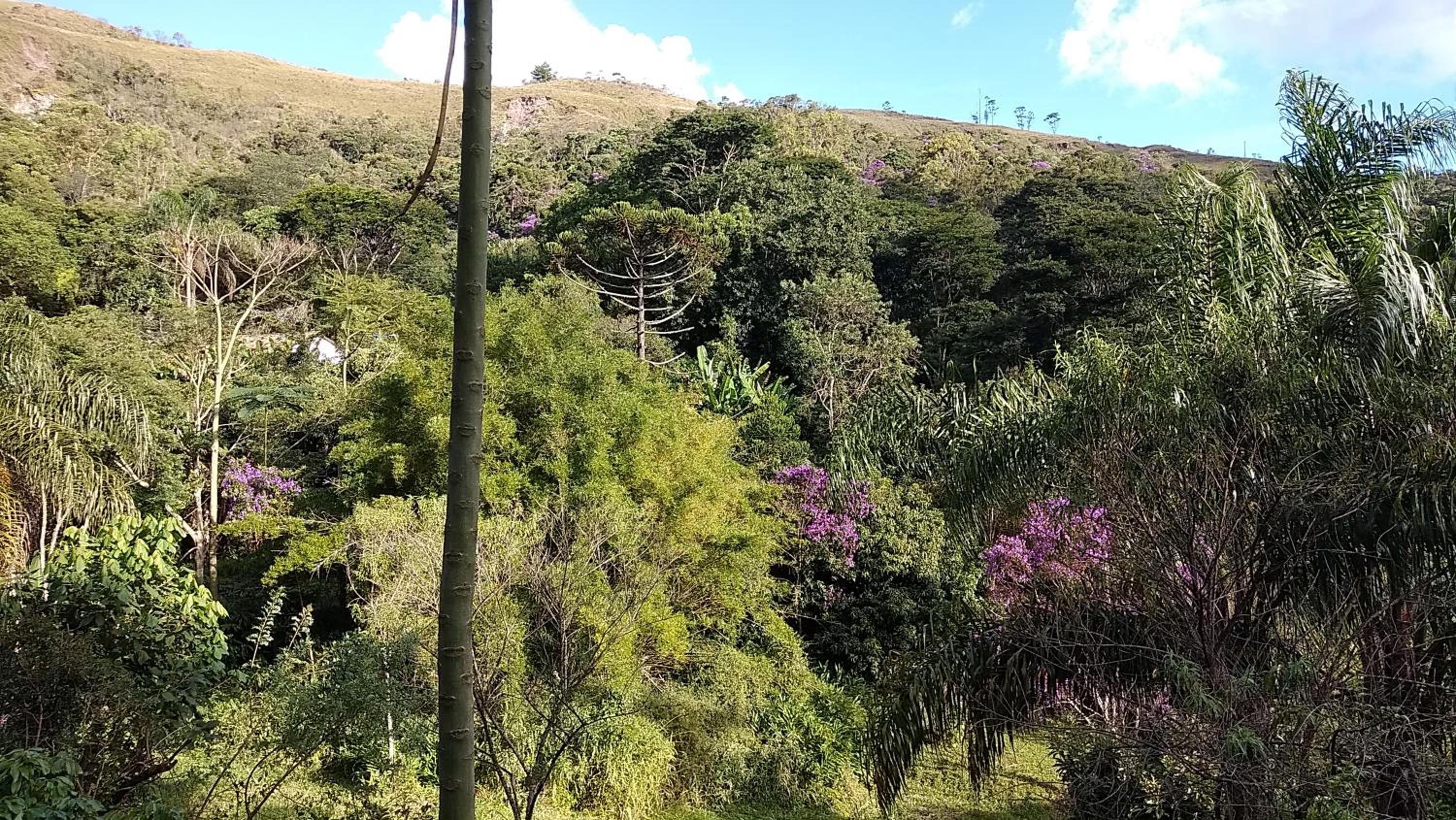 Chalé na floresta com frigobar