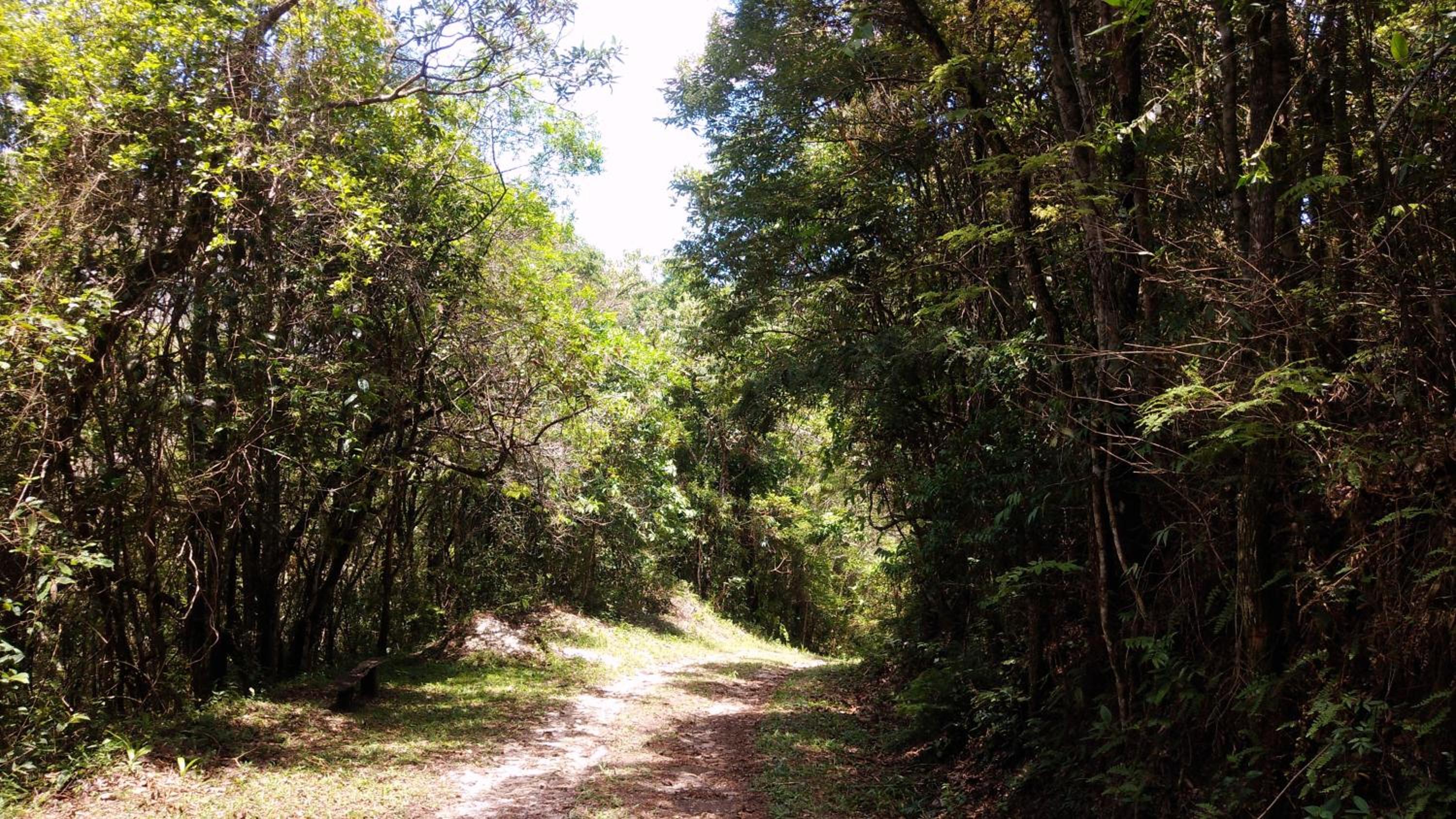 Chalé na floresta com frigobar