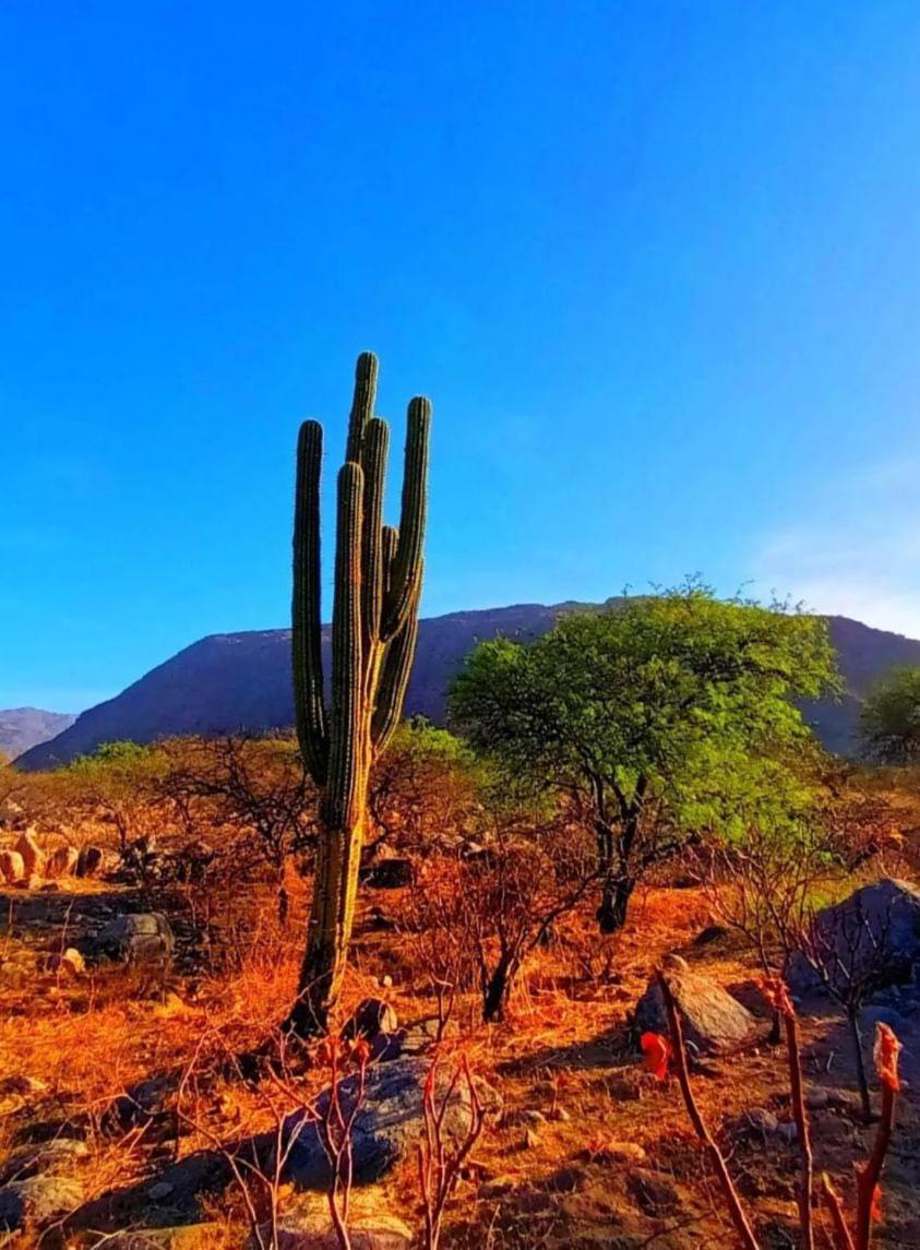 Hostal Cafayate