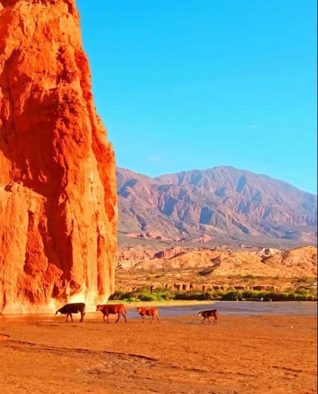 Hostal Cafayate