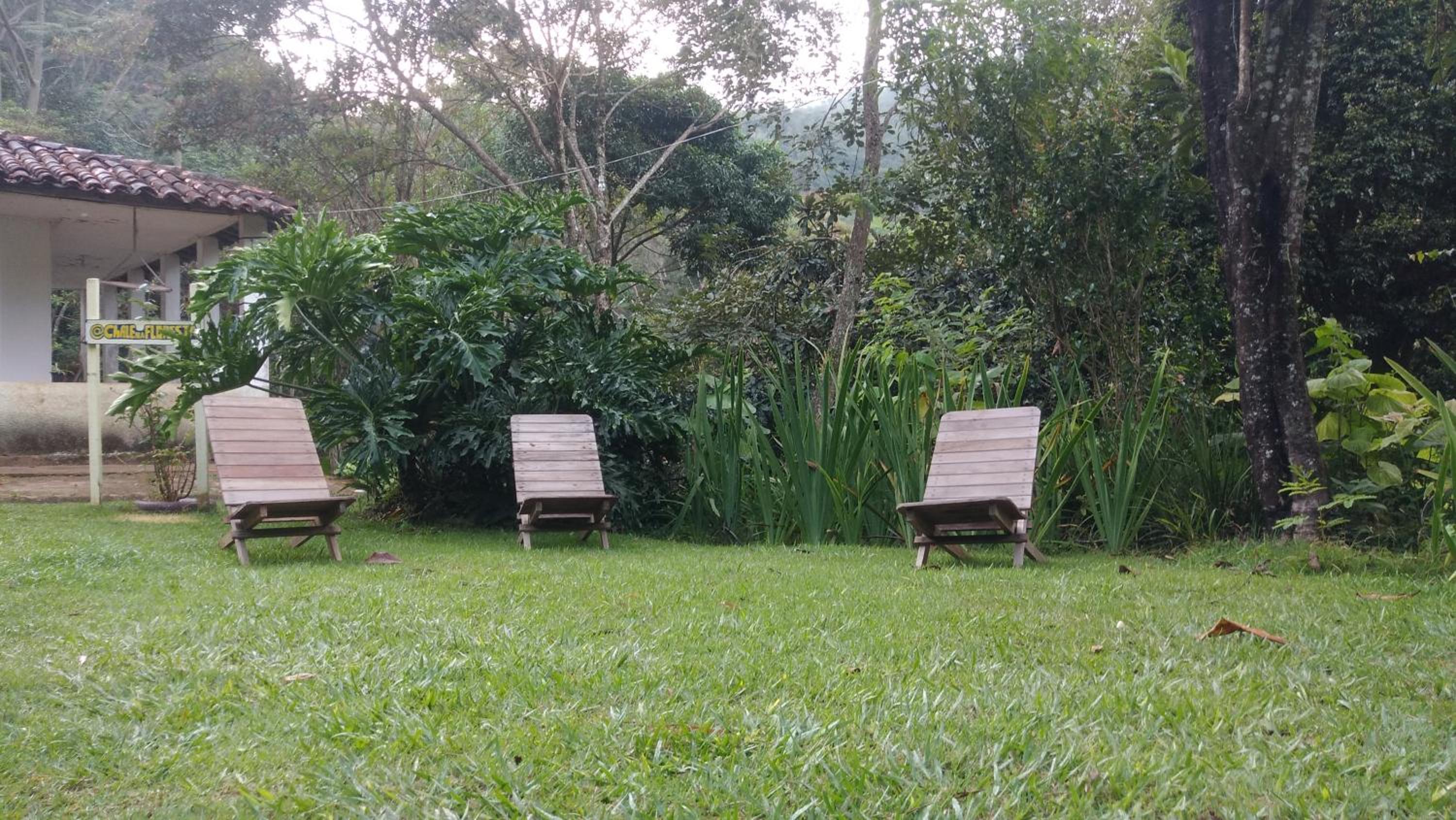 Chalé na floresta com varanda