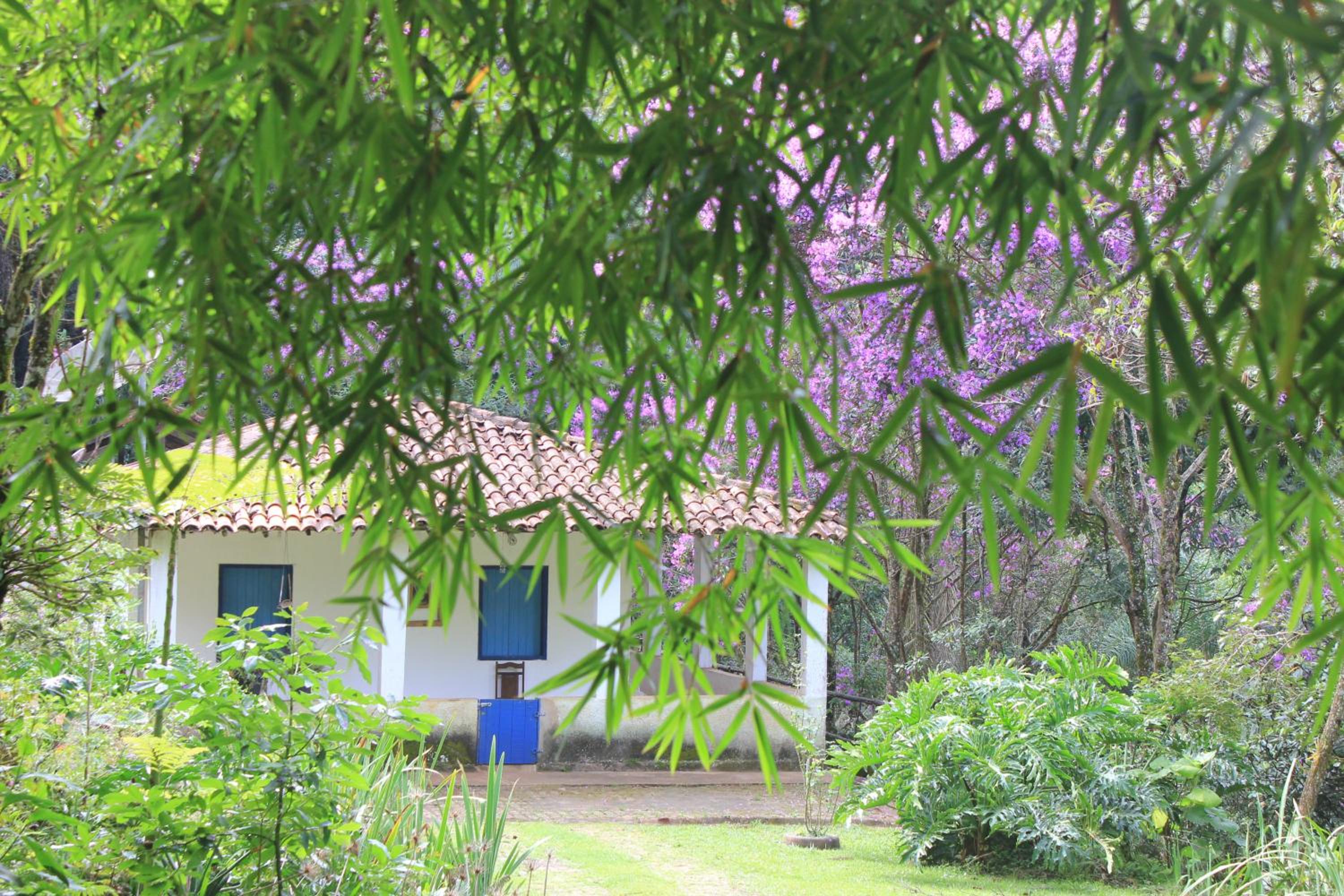 Chalé na floresta com varanda
