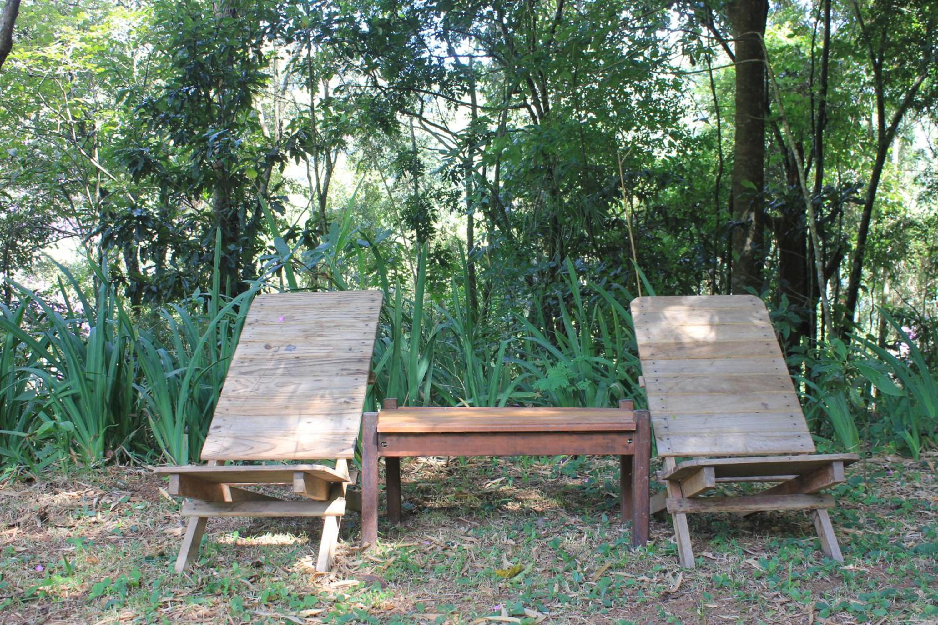 Chalé na floresta com varanda