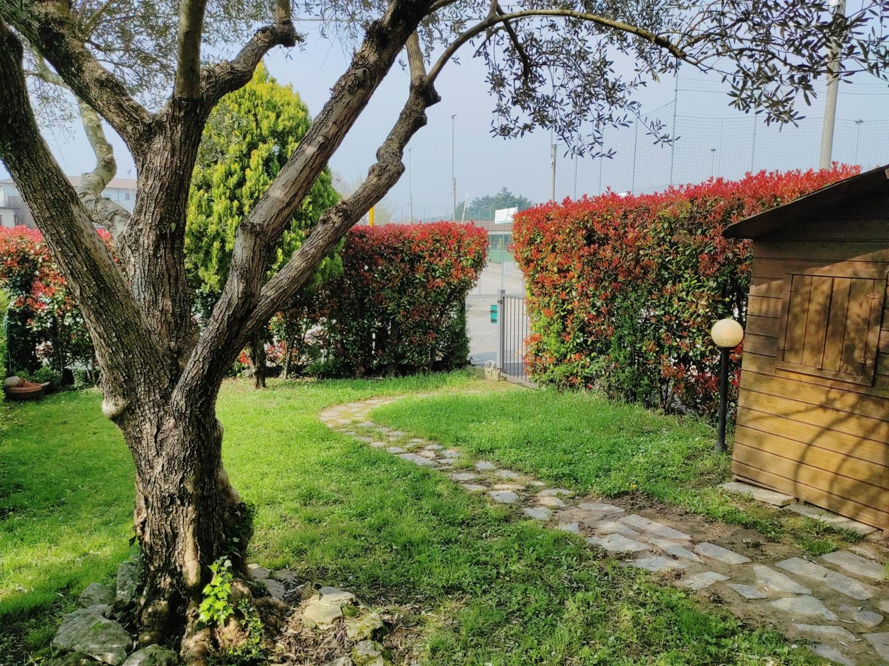 CASA OLIVIA Private garden & Parking view 2