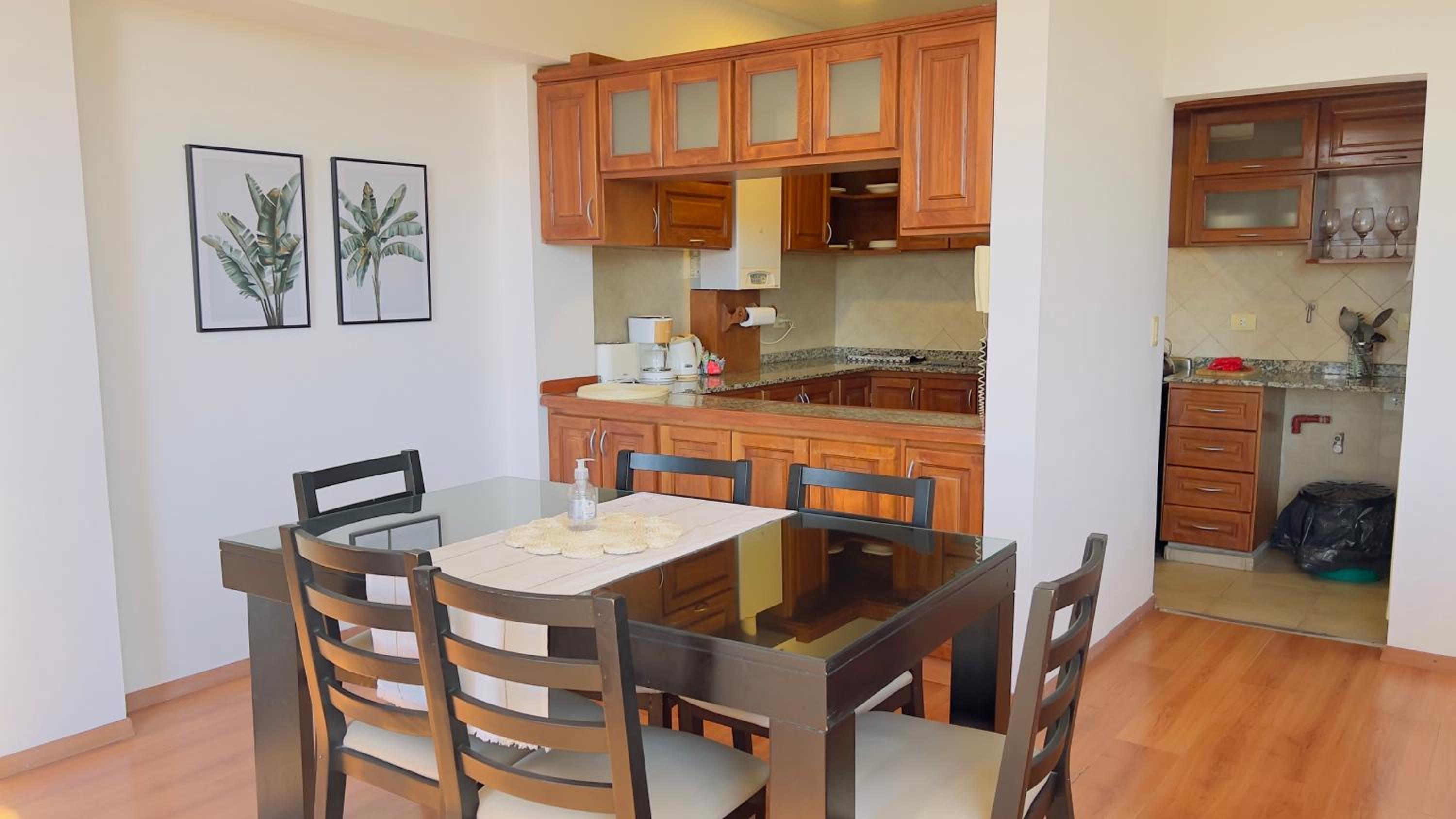 Gran Departamento en la Peatonal