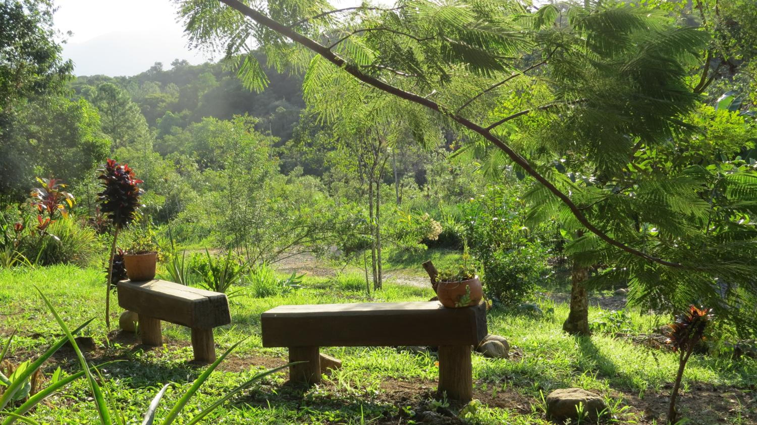 Cabanas sítio Ancestral