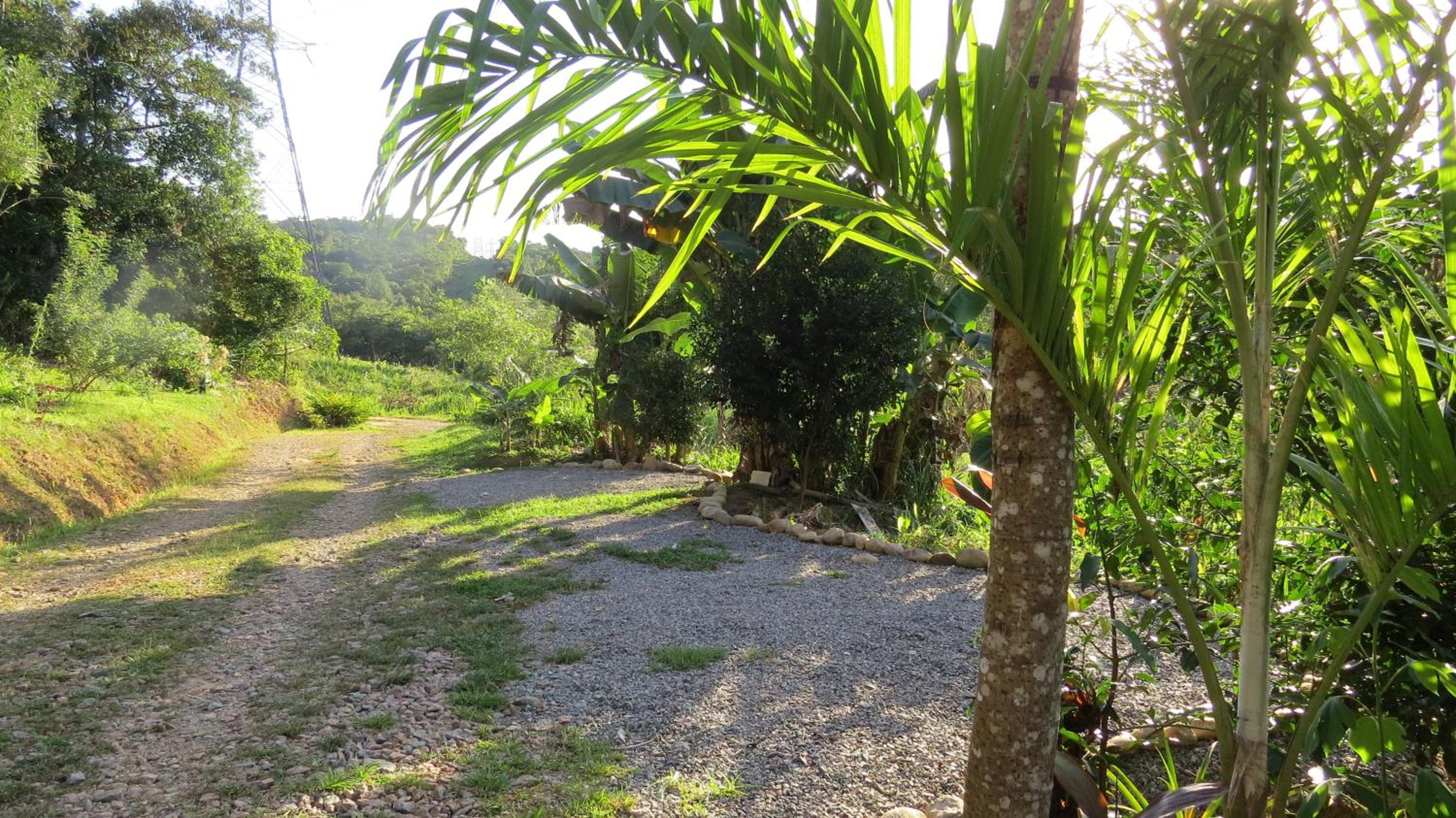 Cabanas sítio Ancestral