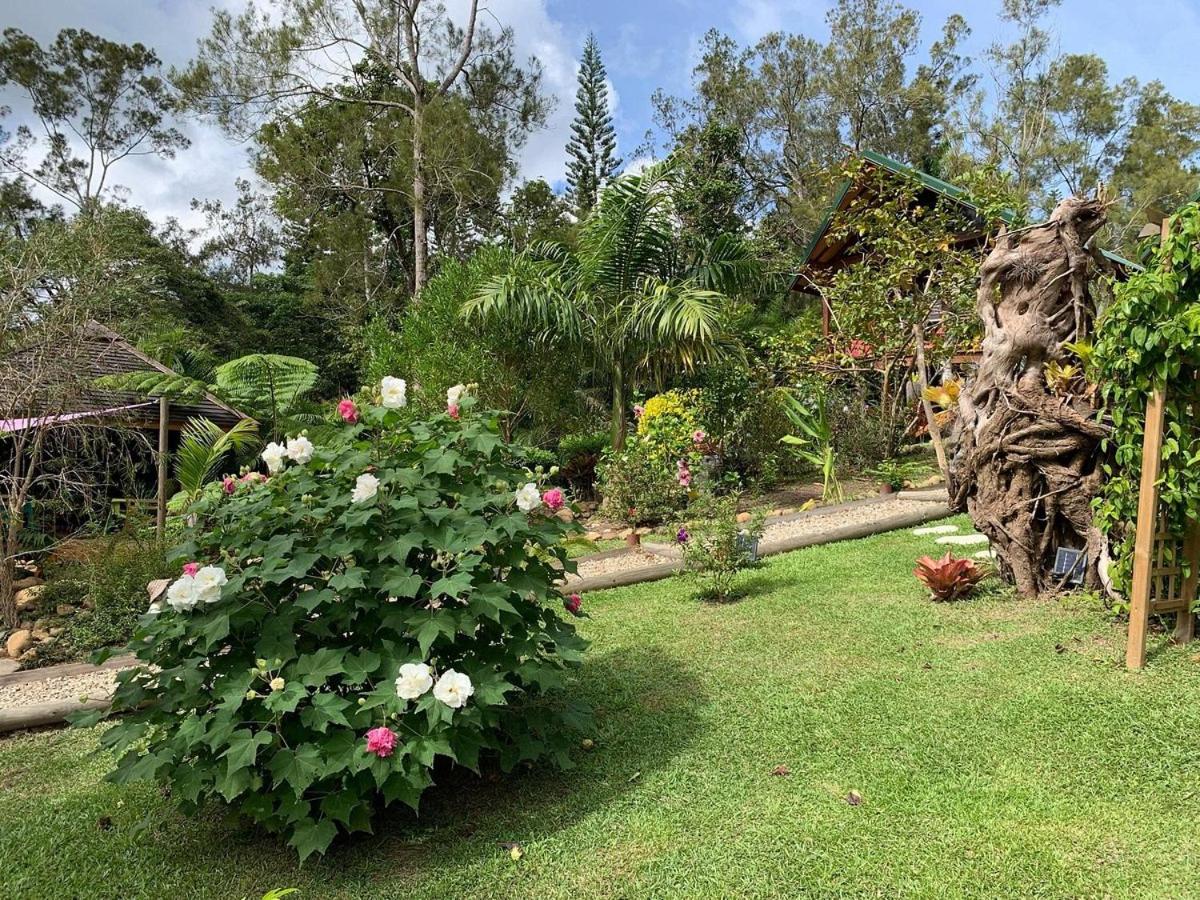 Oasis de Tendéa - Bali à Farino