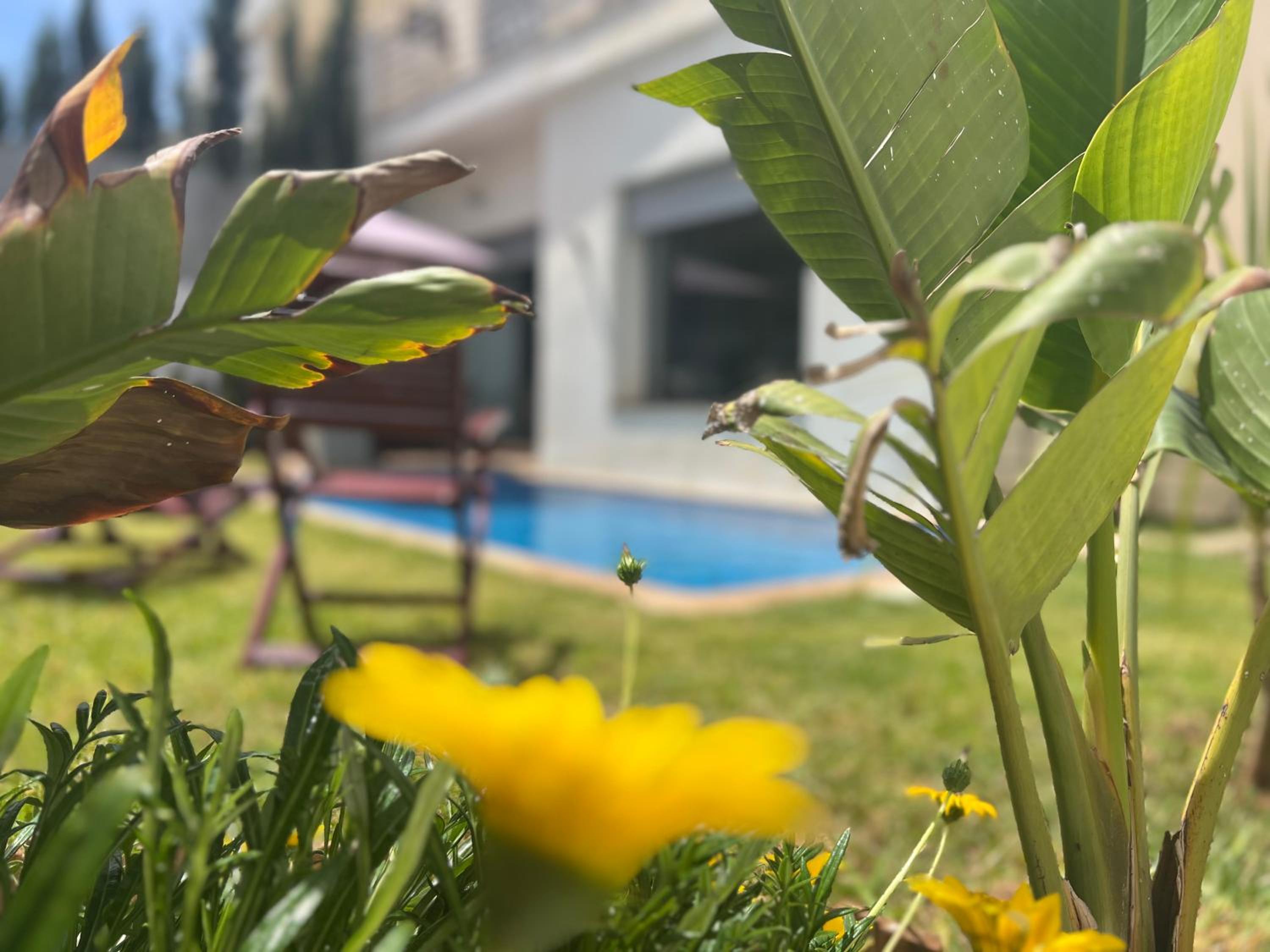 luxury Villa with pool next to beach view 2