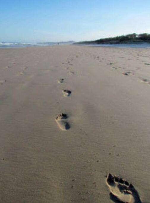 Peregian Beach, Noosa Shire Qld Aus