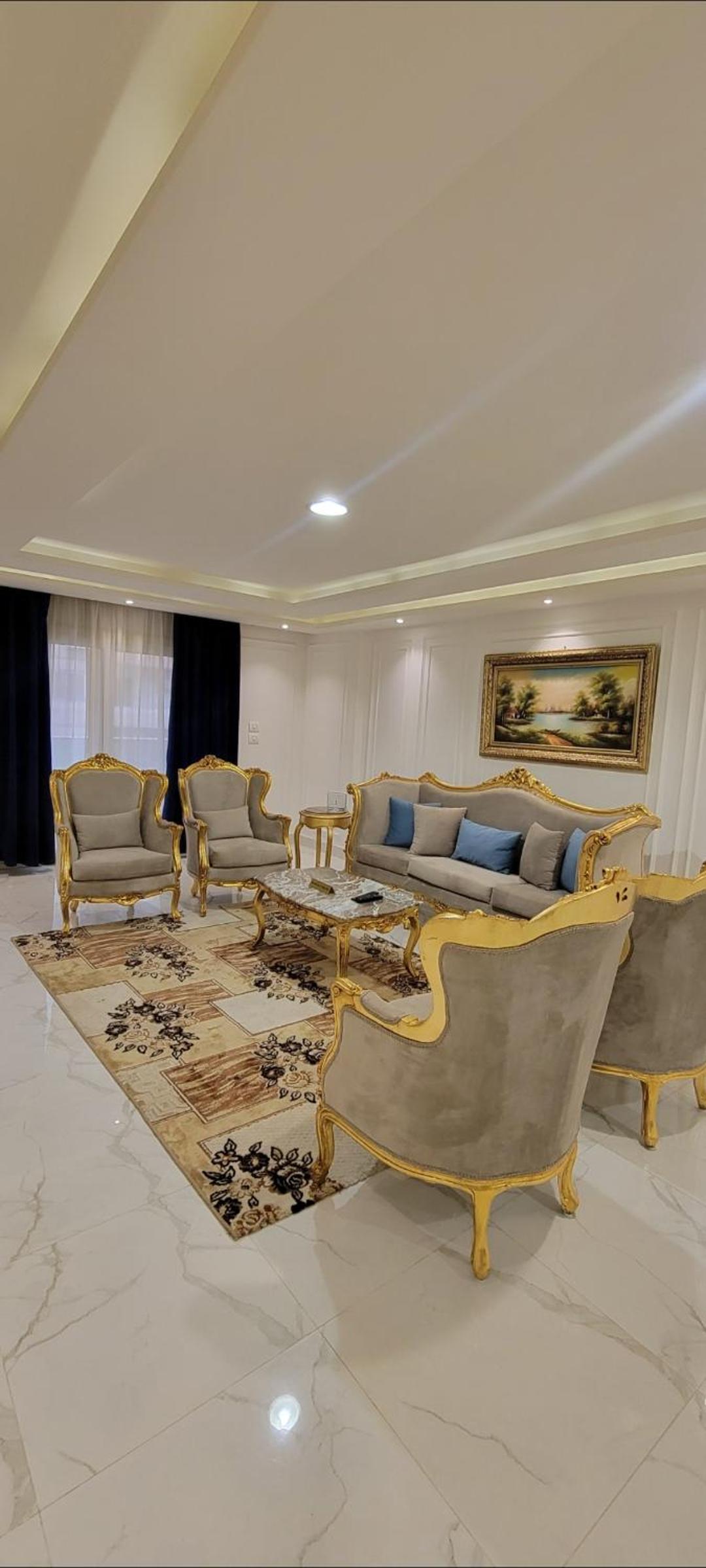 Luxury apartments Mohandiseen 403