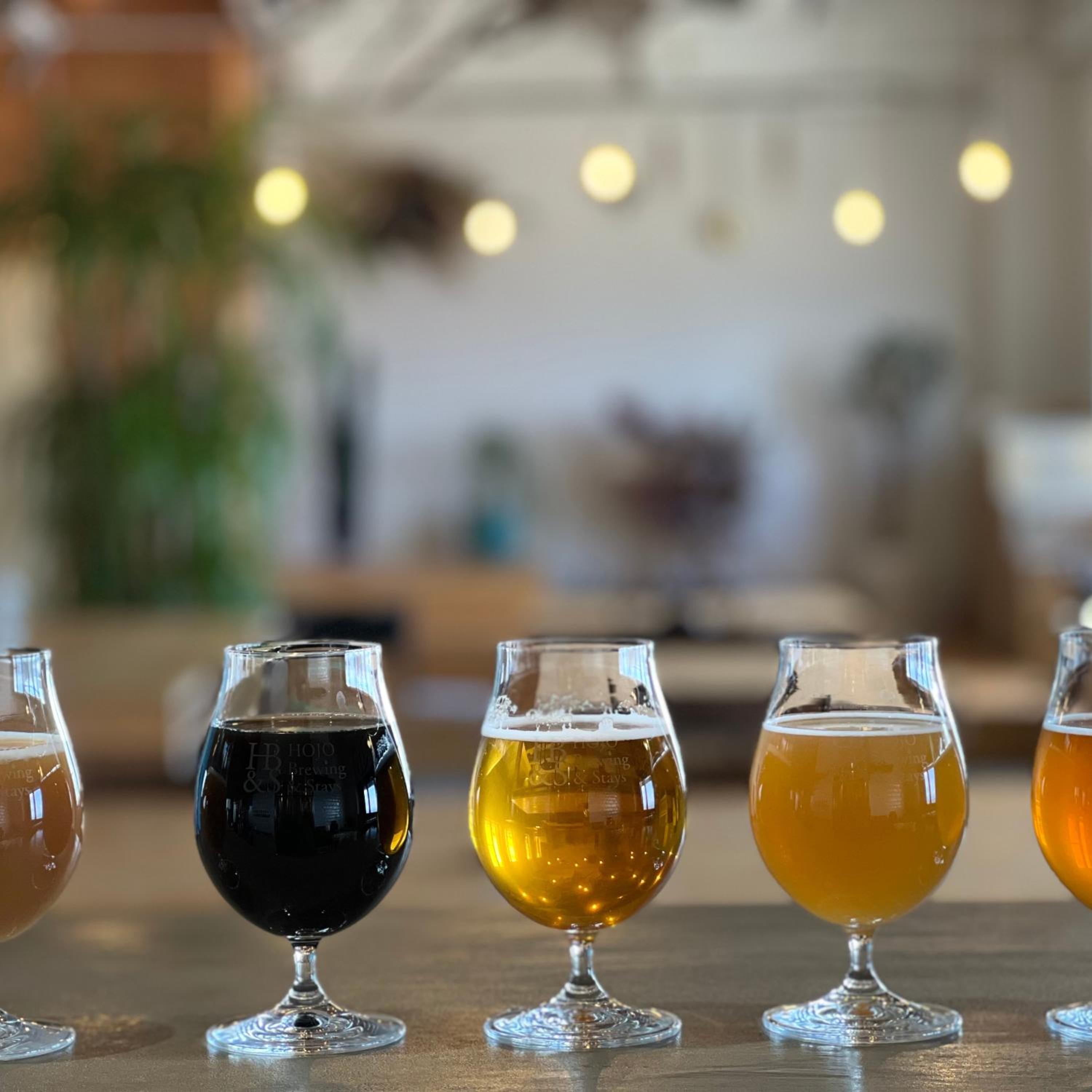 HOJO Brewing & Stays view 2