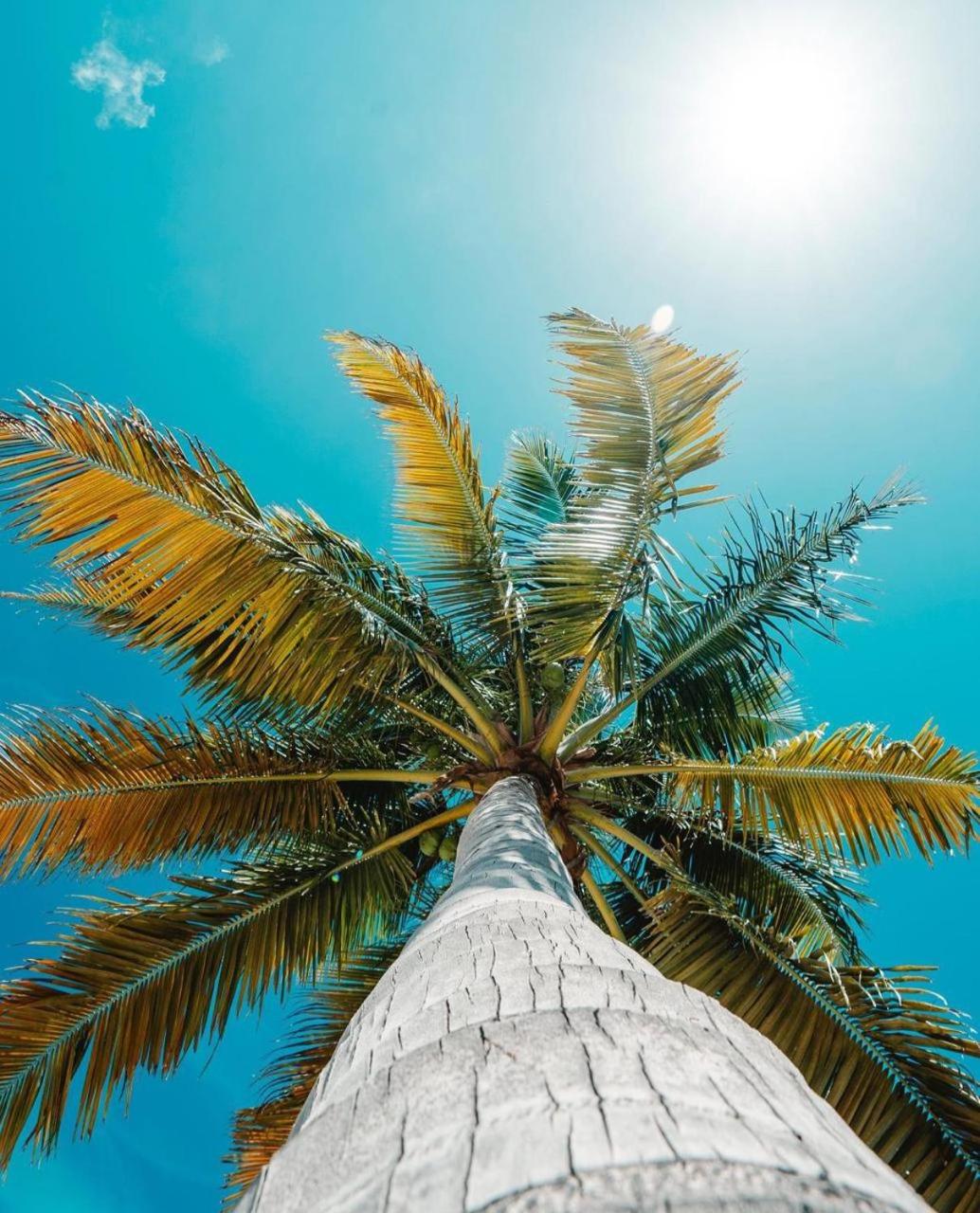 Posada In the Caribbean