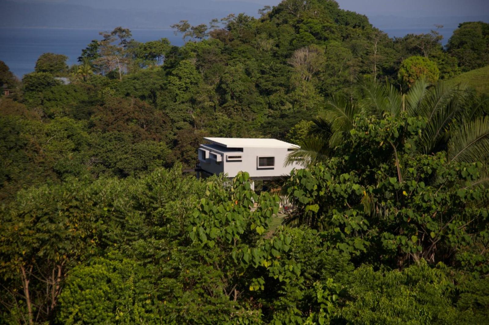 El Nido Cúbico
