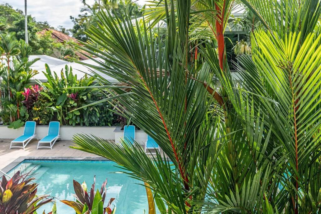 Sea La Vie - Port Douglas