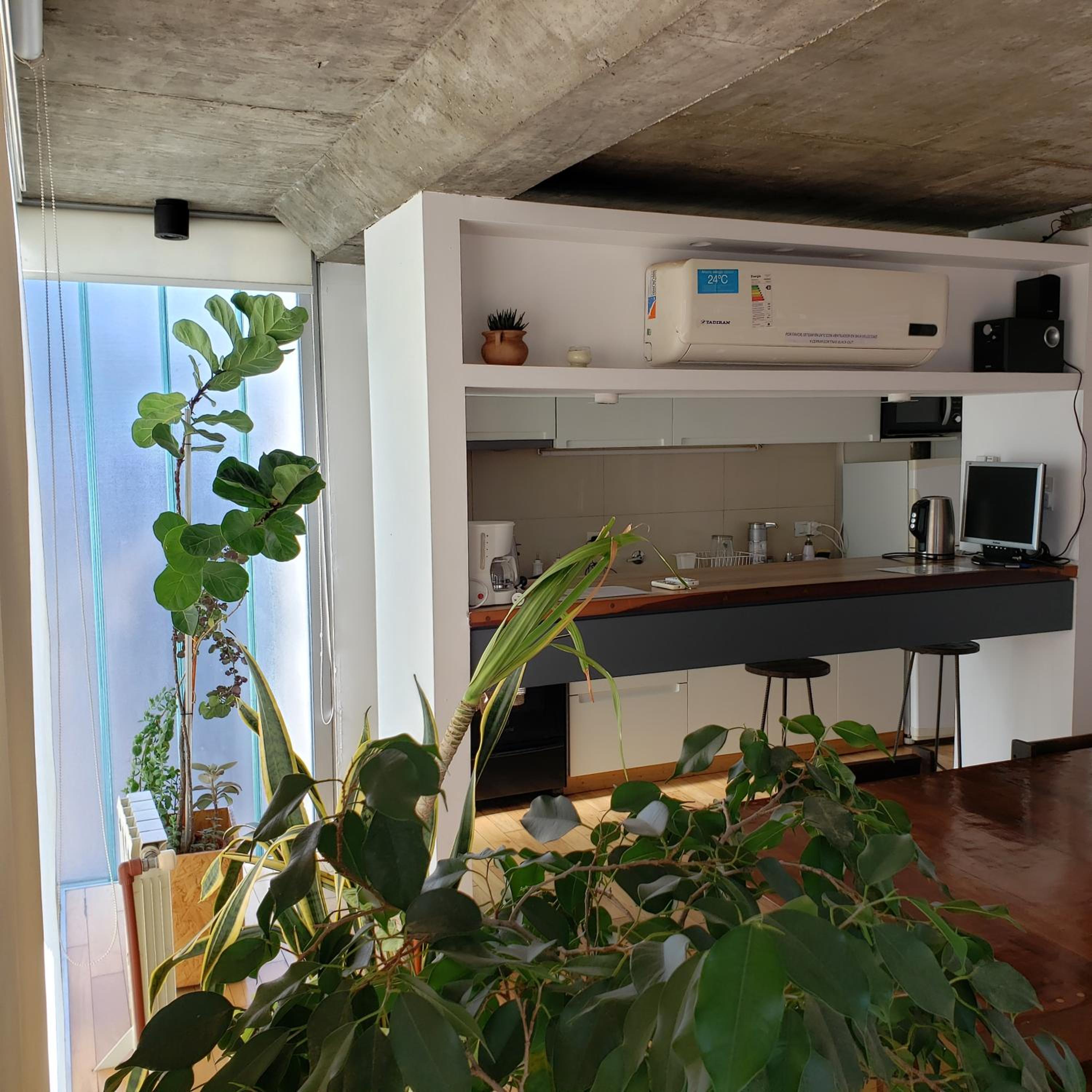 Dos Porticos - Tecnologia y naturaleza