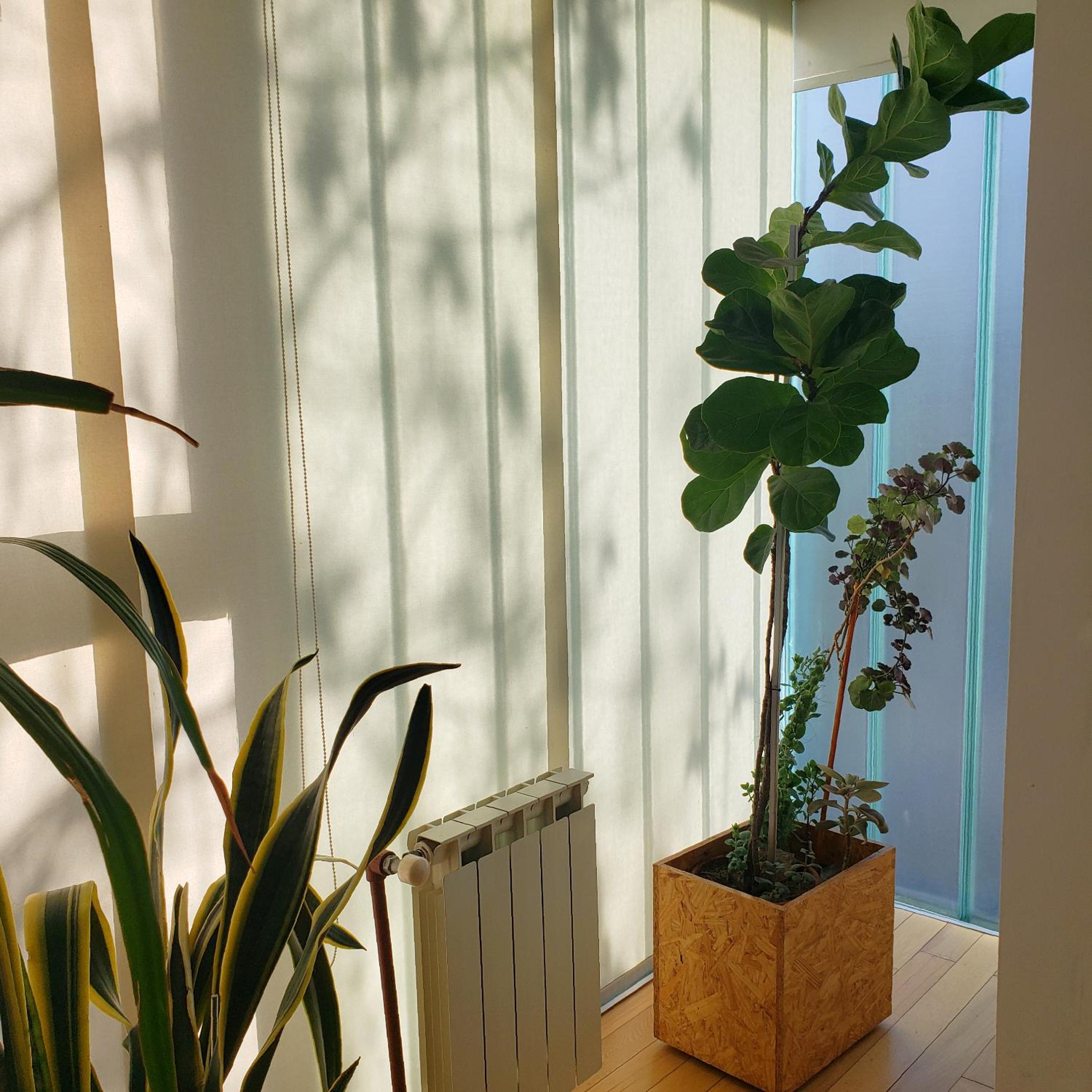 Dos Porticos - Tecnologia y naturaleza