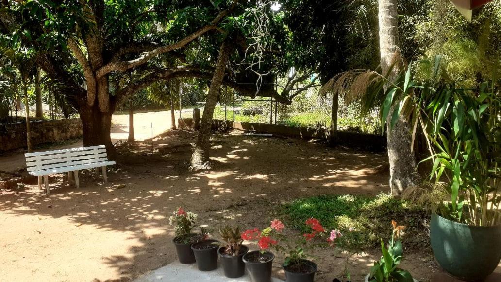 Greeno Lanka view 5
