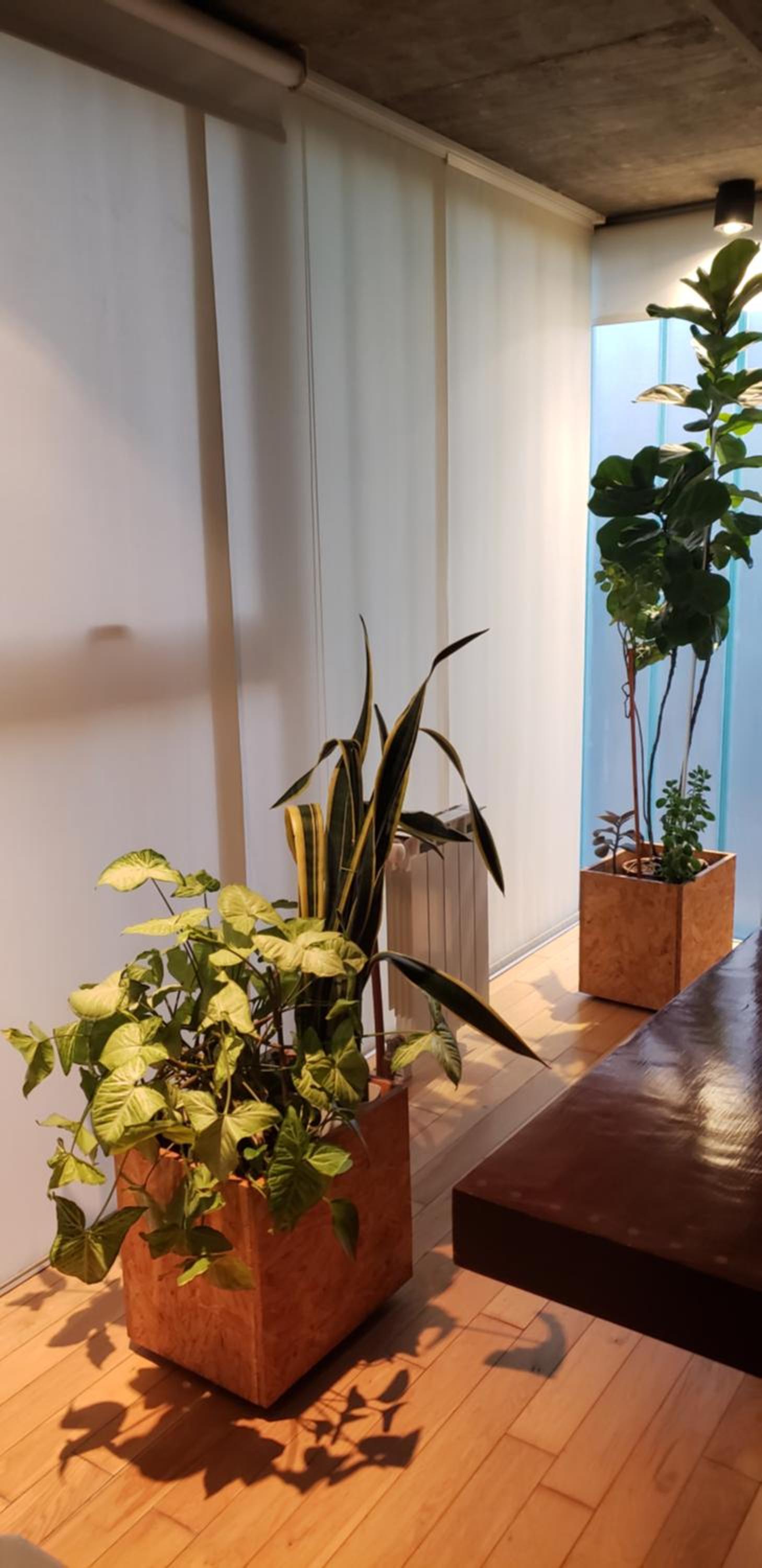 Dos Porticos - Tecnologia y naturaleza