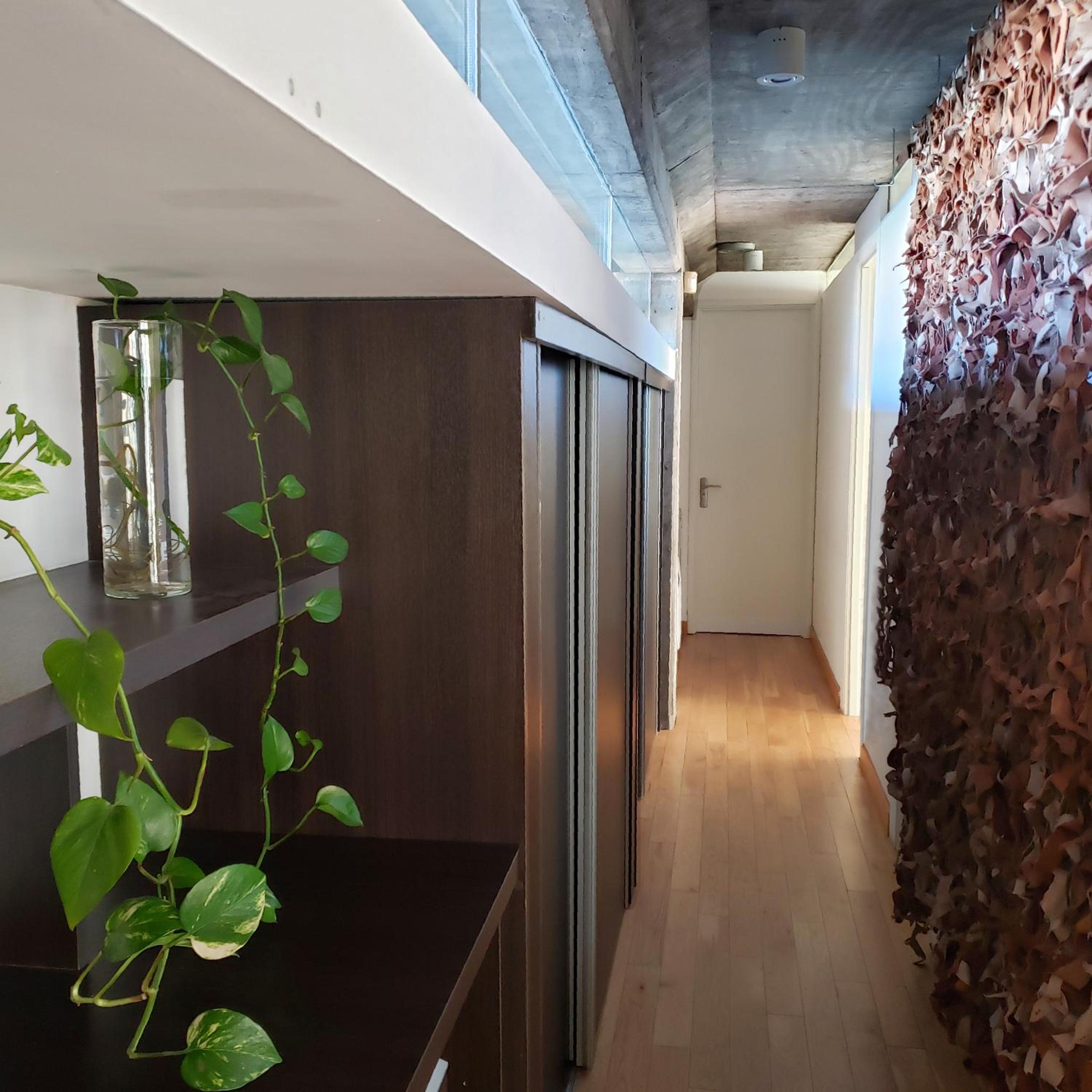Dos Porticos - Tecnologia y naturaleza