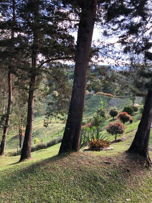 Desconéctate! Casa de campo con vista sensacional !!!