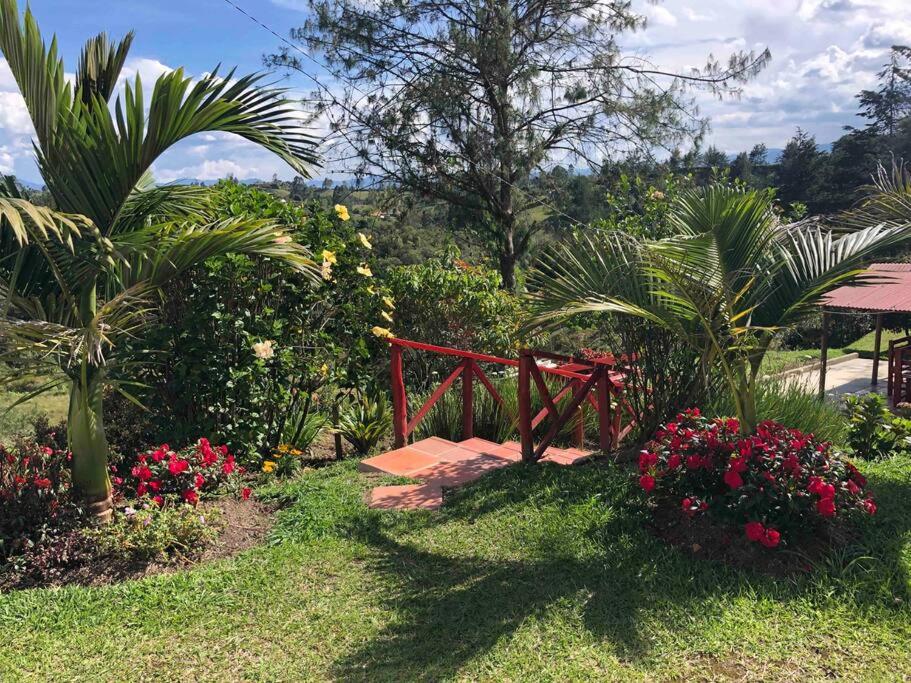 Desconéctate! Casa de campo con vista sensacional !!!