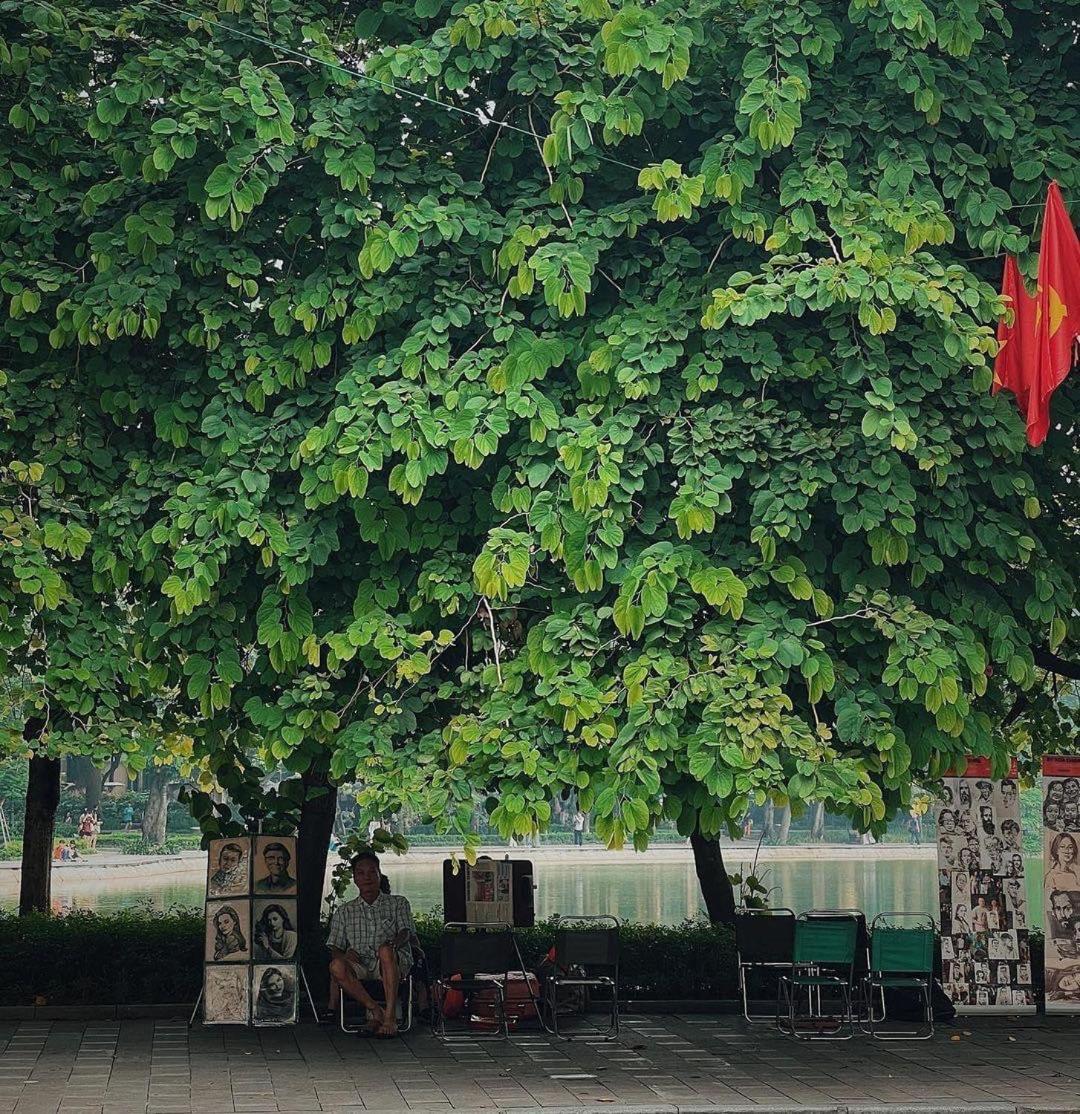 Tropical land little Hanoi homestay
