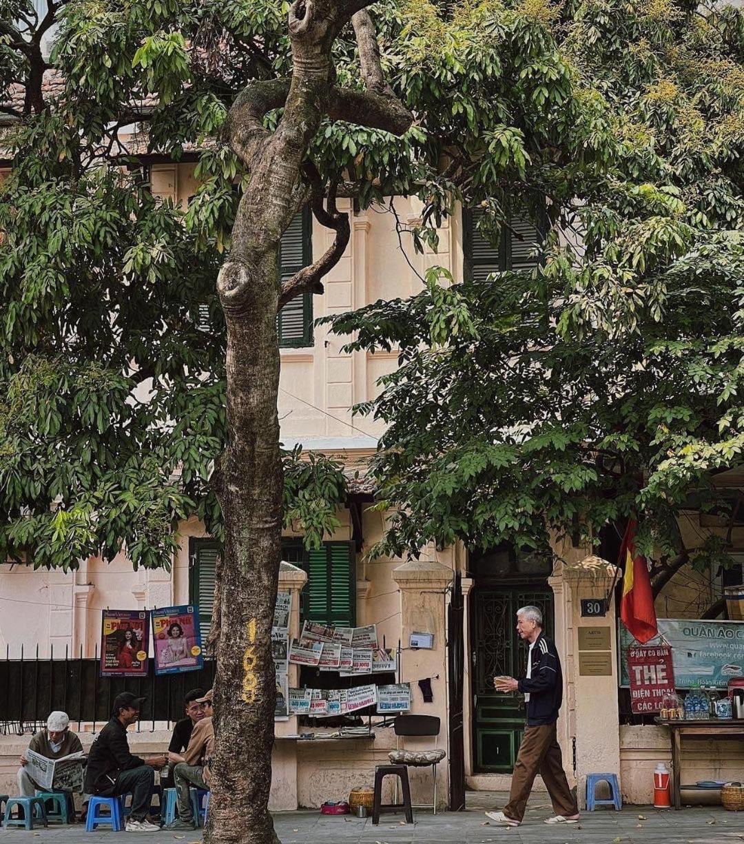 Tropical land little Hanoi homestay
