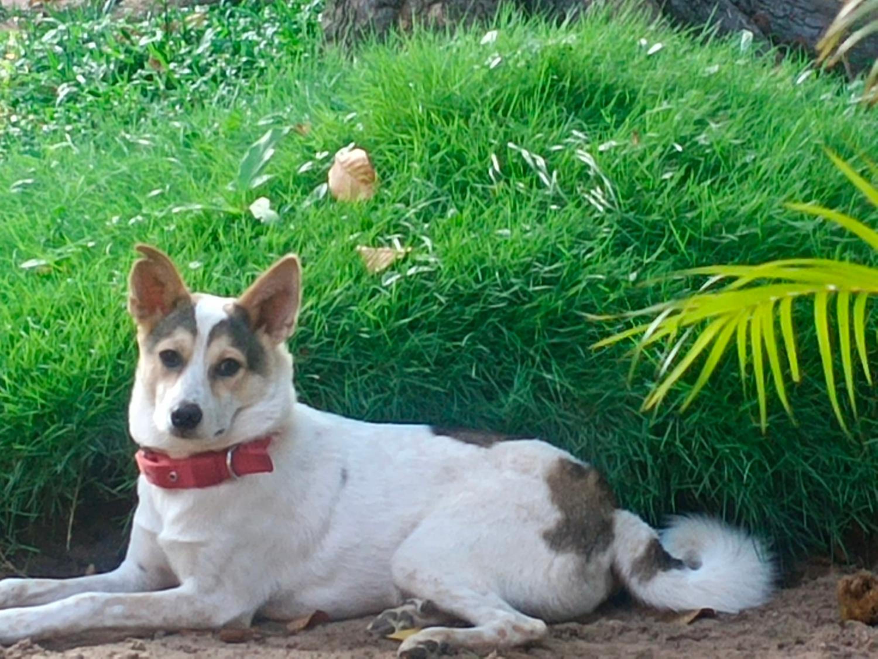 Marari Merryland