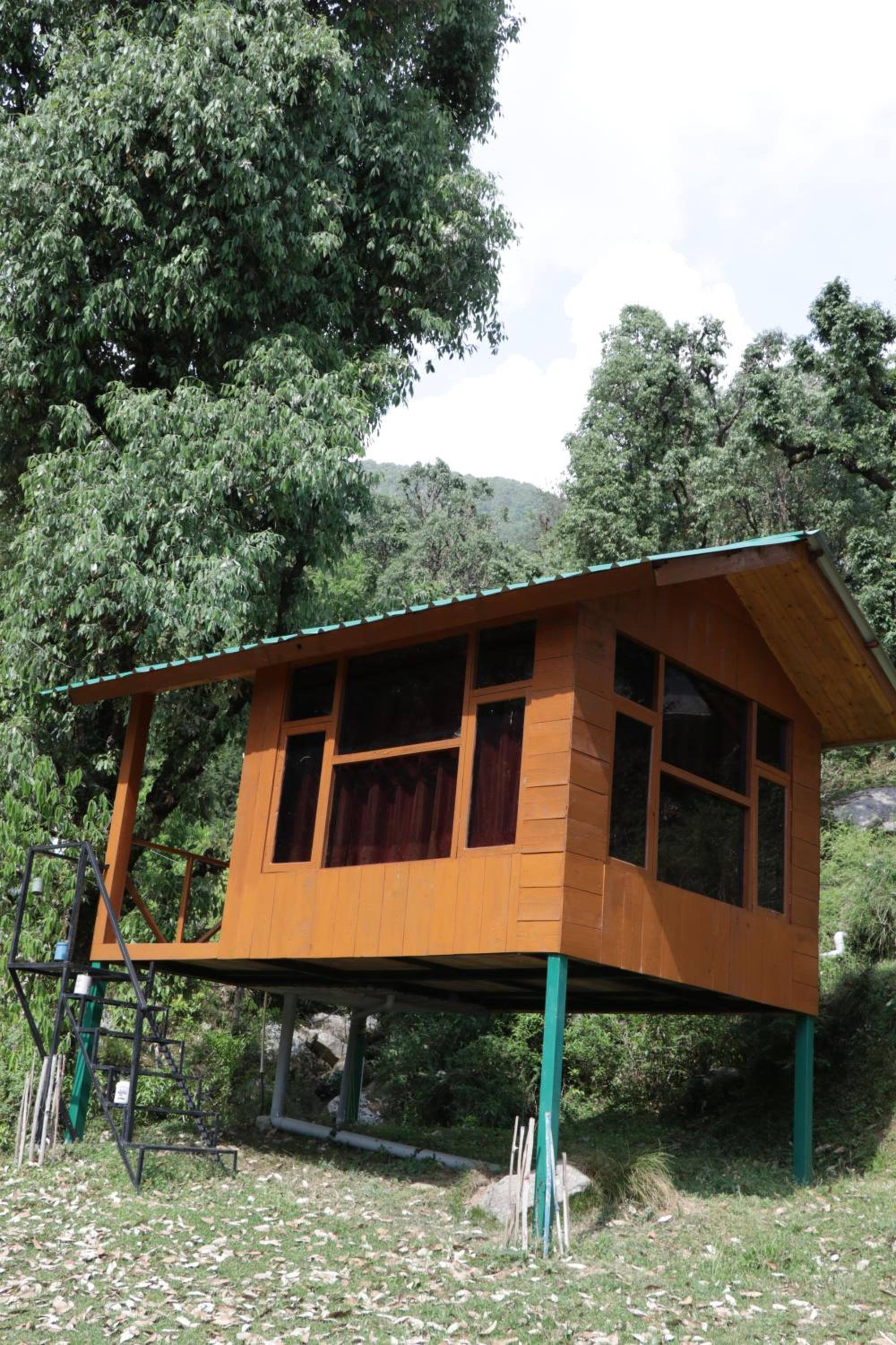 Trekking Cougars Huts