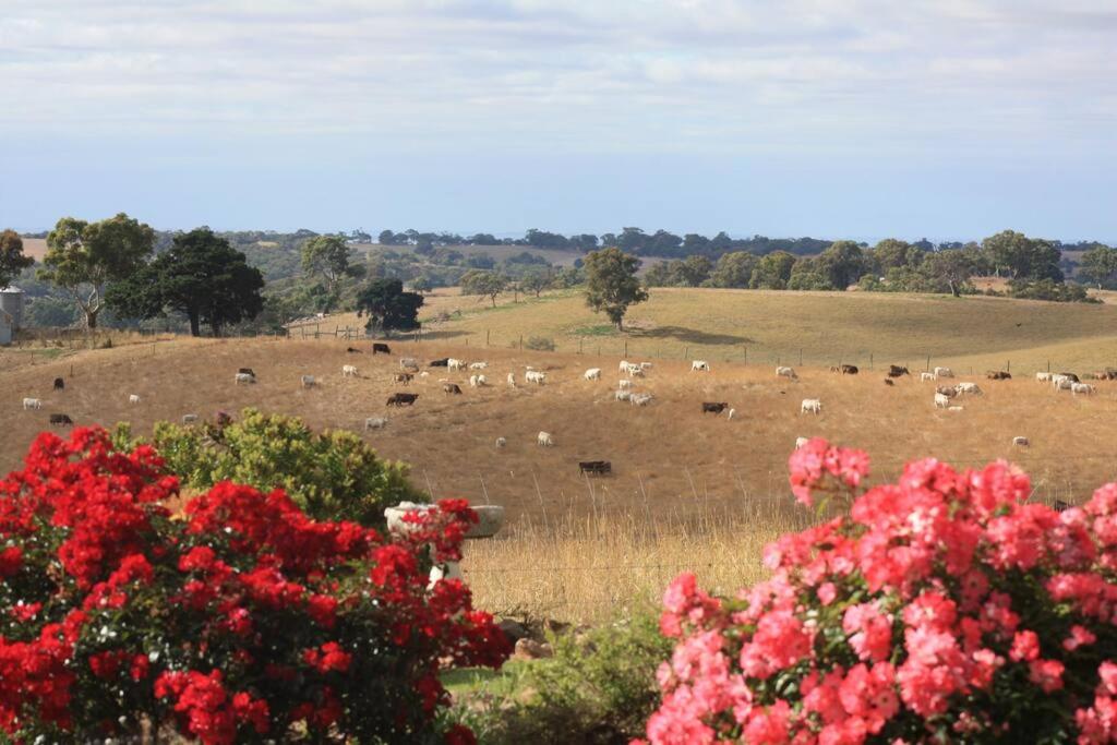 Adelaide Hills Country Paradise