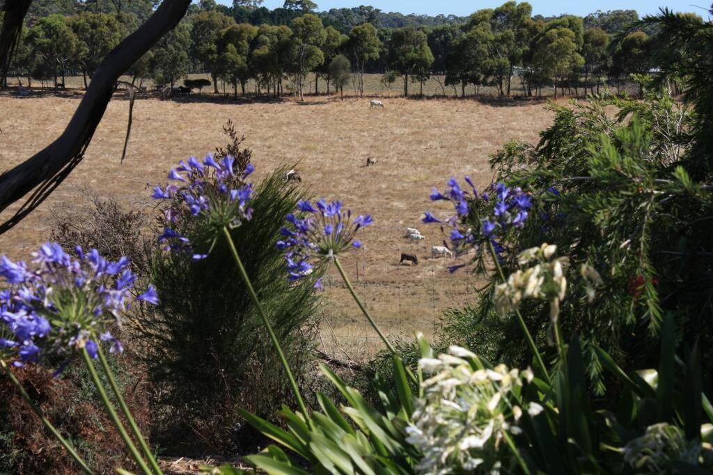 Adelaide Hills Country Paradise