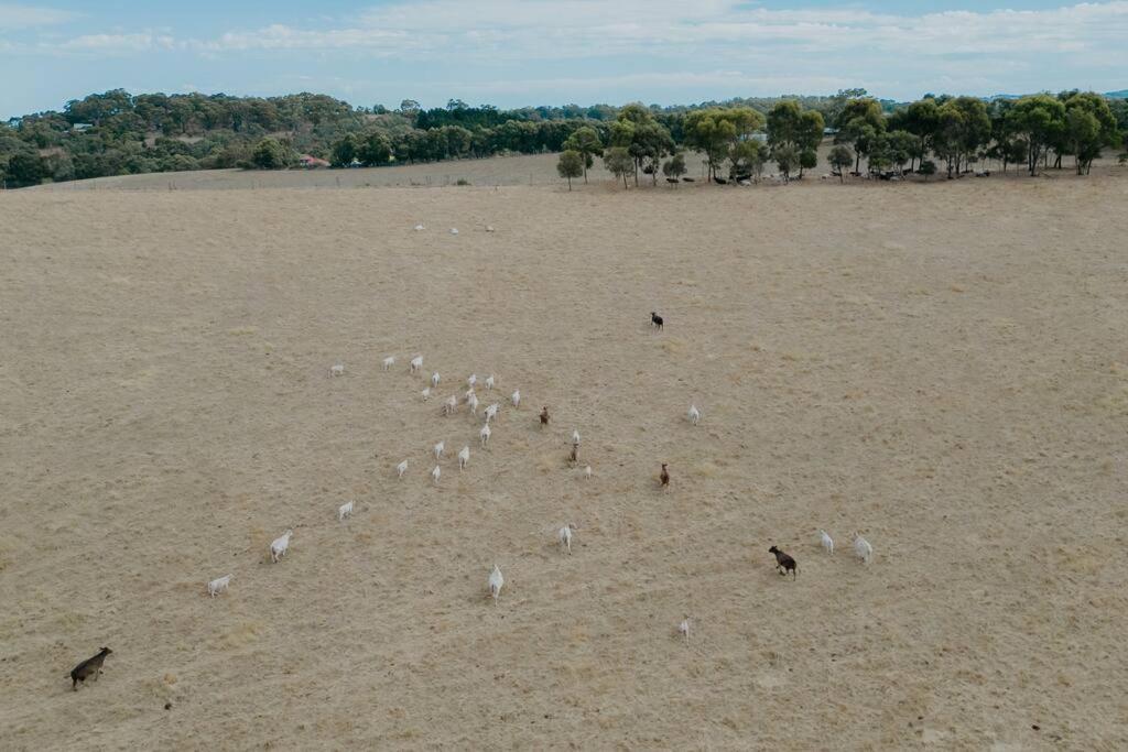 Adelaide Hills Country Paradise