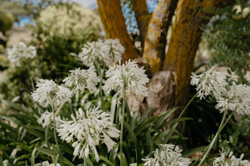 Adelaide Hills Country Paradise