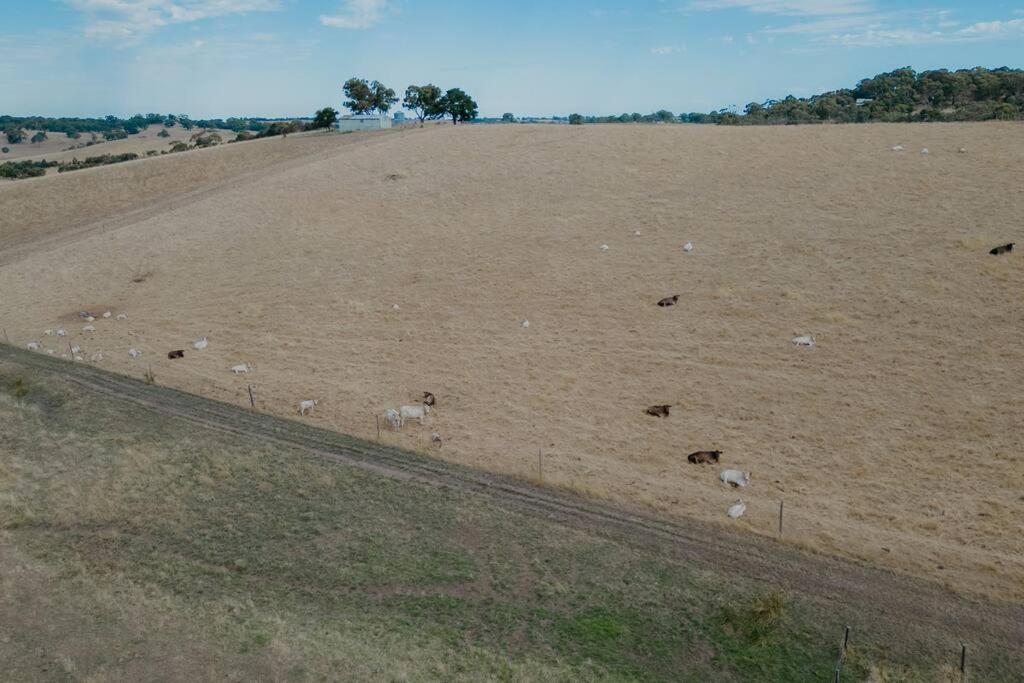 Adelaide Hills Country Paradise