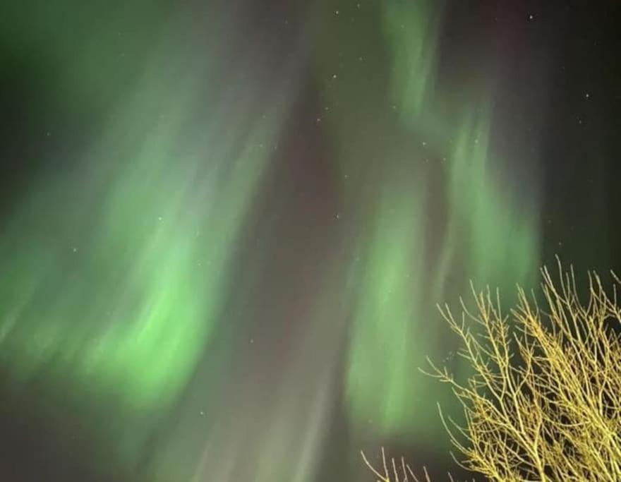 A pearl in Lofoten