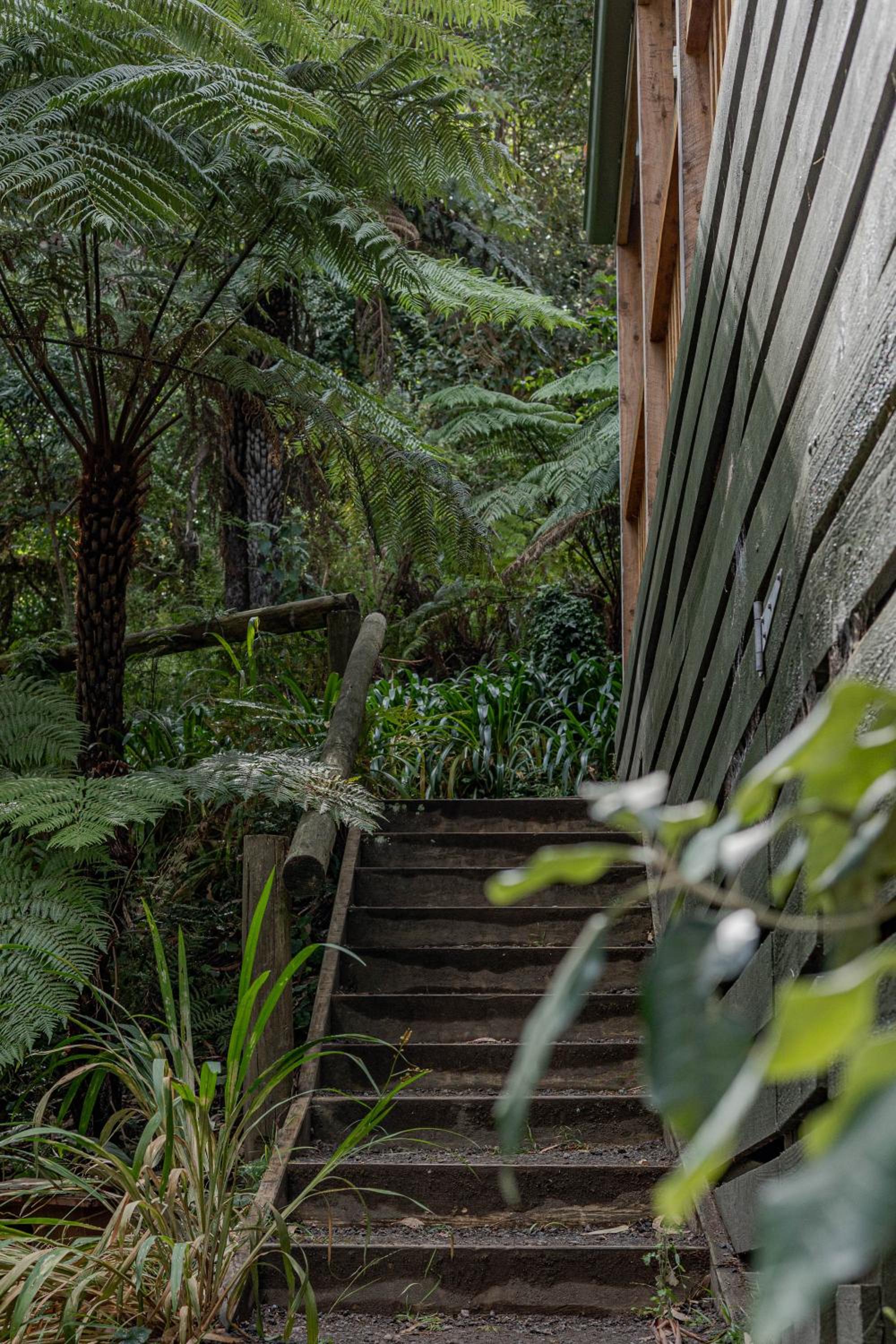 Fern House