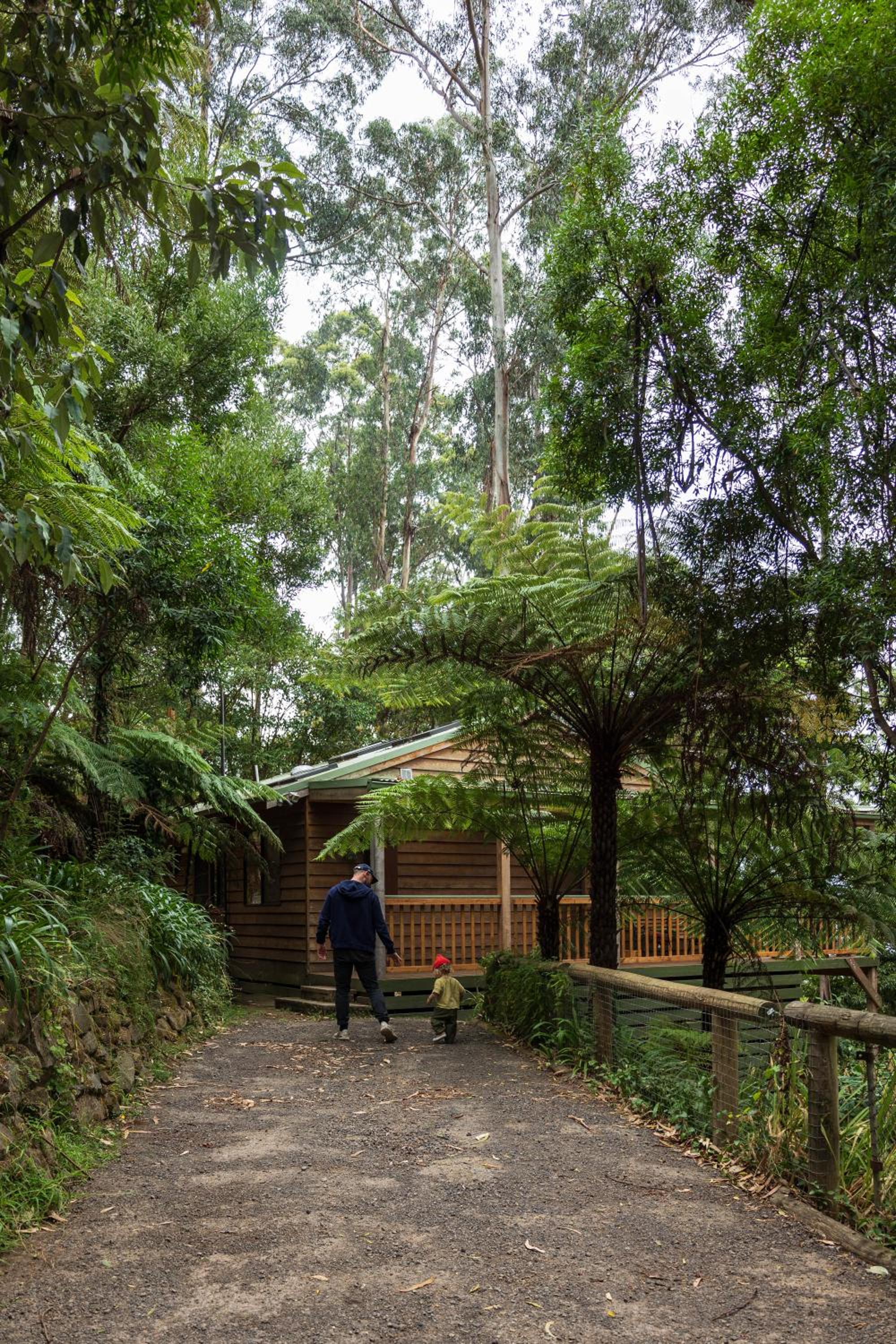 Fern House