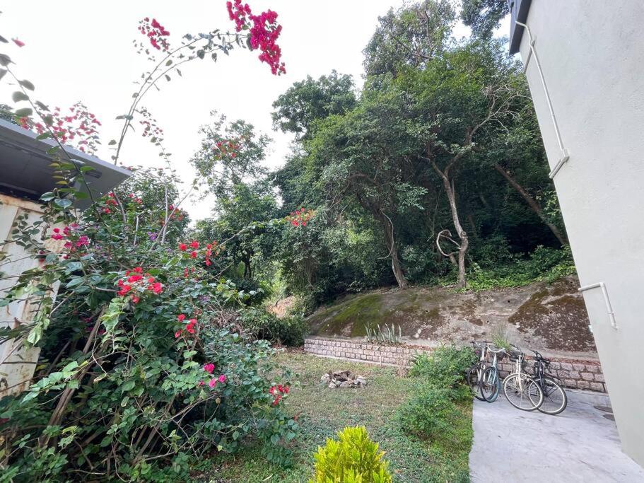 Holiday Let - Mui Wo, Lantau Island
