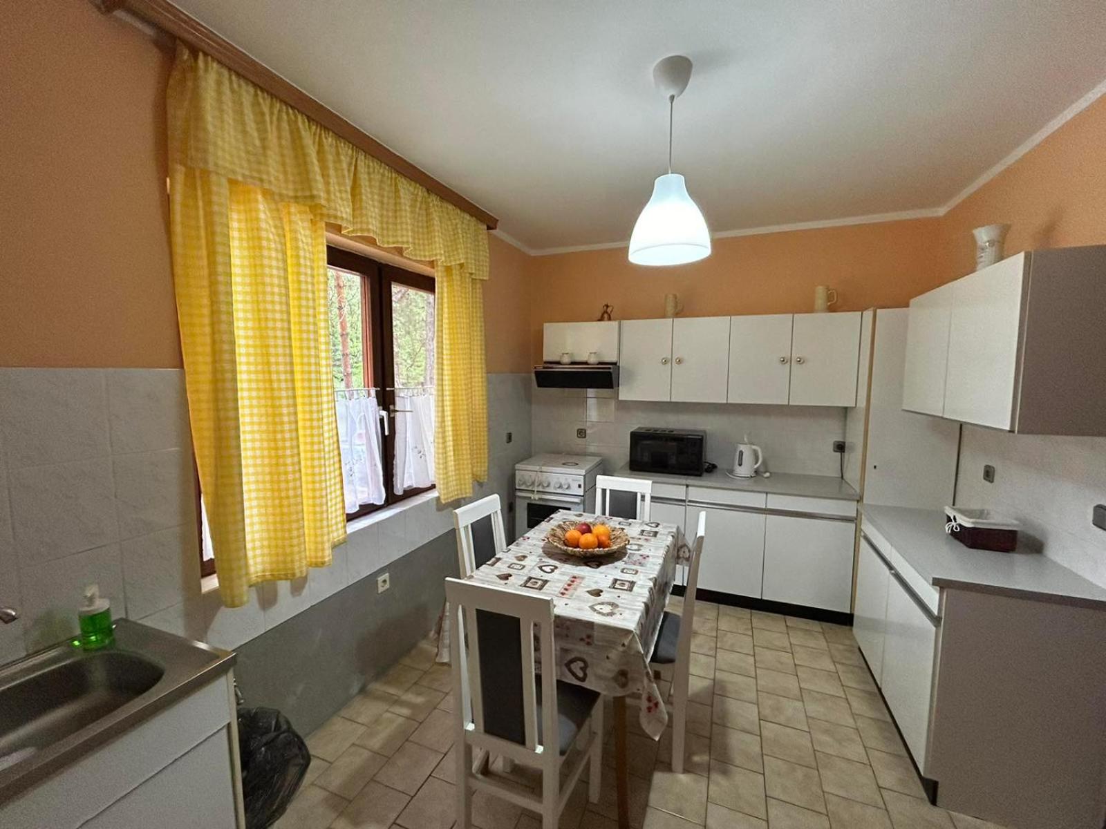Šumska kuća Juga Kovačević view 2