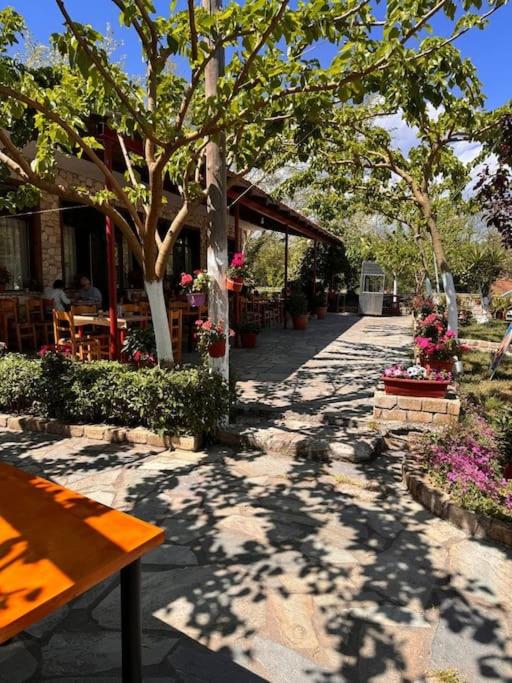 Family Woodland Oasis VIPGreece