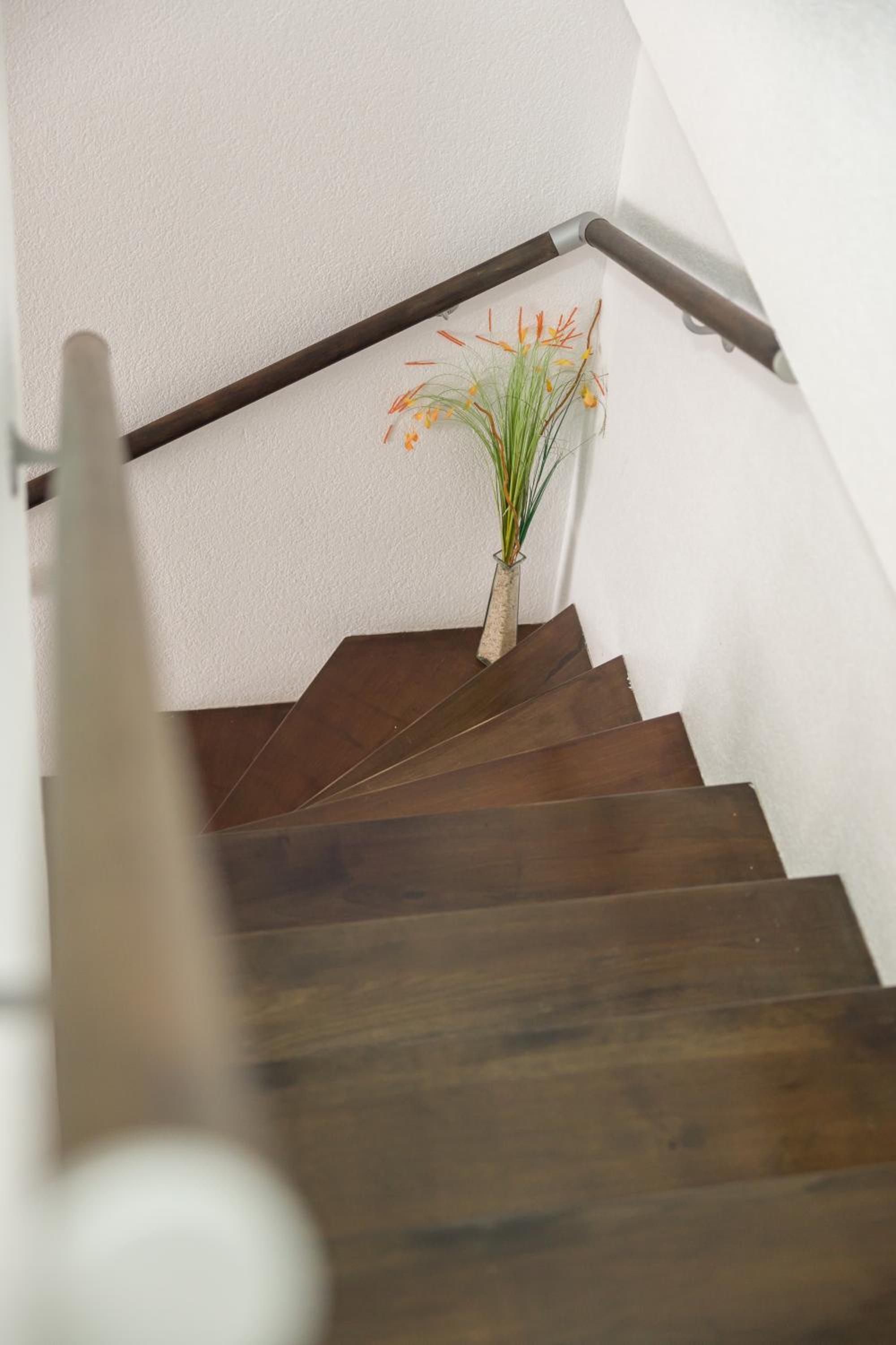 Apartmani Vesić