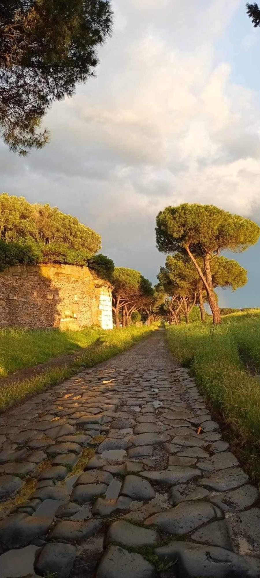 Questa casa non è un albergo CIU-ATR 9390-9
